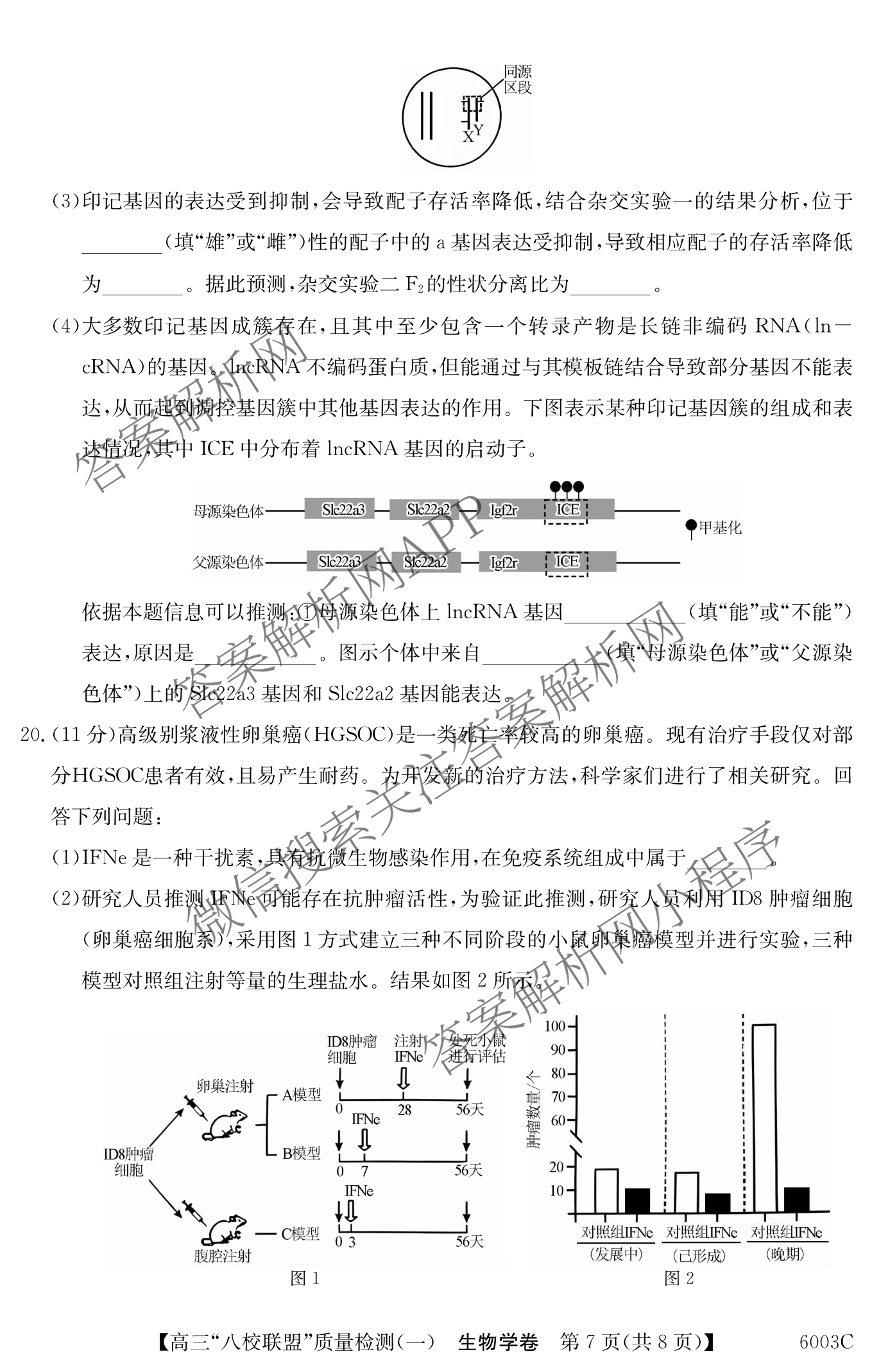 2025~2026学年度广东省高三
