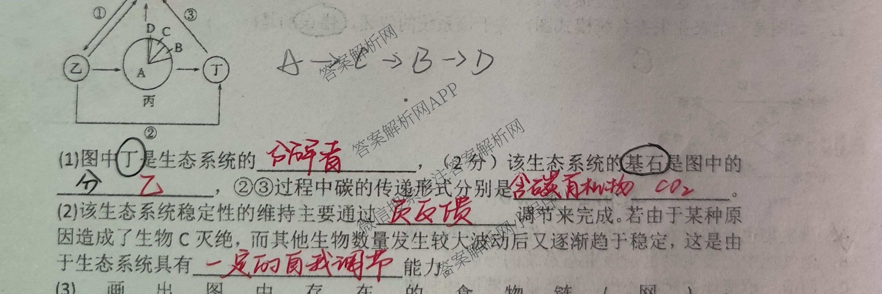 陕西省渭南市潼关中学2025-2026学年高二下学期月考(4月)（含生物 政治 数学等）生物试题