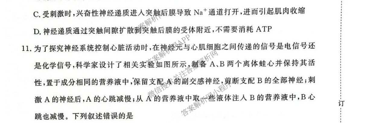 2027届普通高等学校招生全国统一考试青桐鸣大联考(高二)(10.23-24)试卷及答案汇总(已更新物理(A)、英语、地理(湘教版)等12份)生物试题