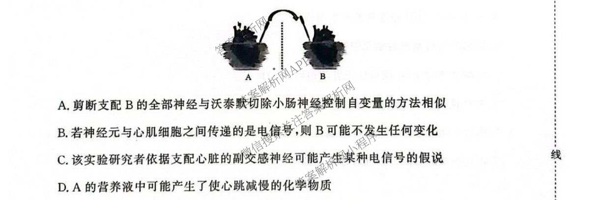 2027届普通高等学校招生全国统一考试青桐鸣大联考(高二)(10.23-24)试卷及答案汇总(已更新物理(A)、英语、地理(湘教版)等12份)生物试题