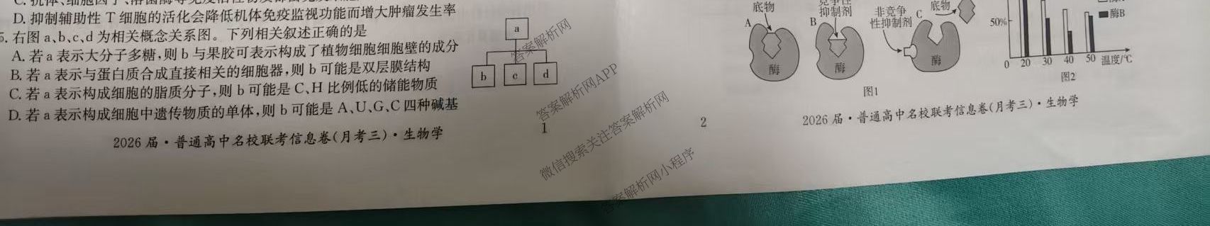 名校大联考2026届普通高中名校联考信息卷(月考三)各科答案及试卷(已更新语文、数学、历史等9份)生物试题