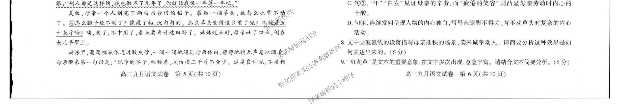 湖北省武汉市2027届高中毕业生九月调研考试2026.9.16(已更新化学 政治 生物等9份)语文试题