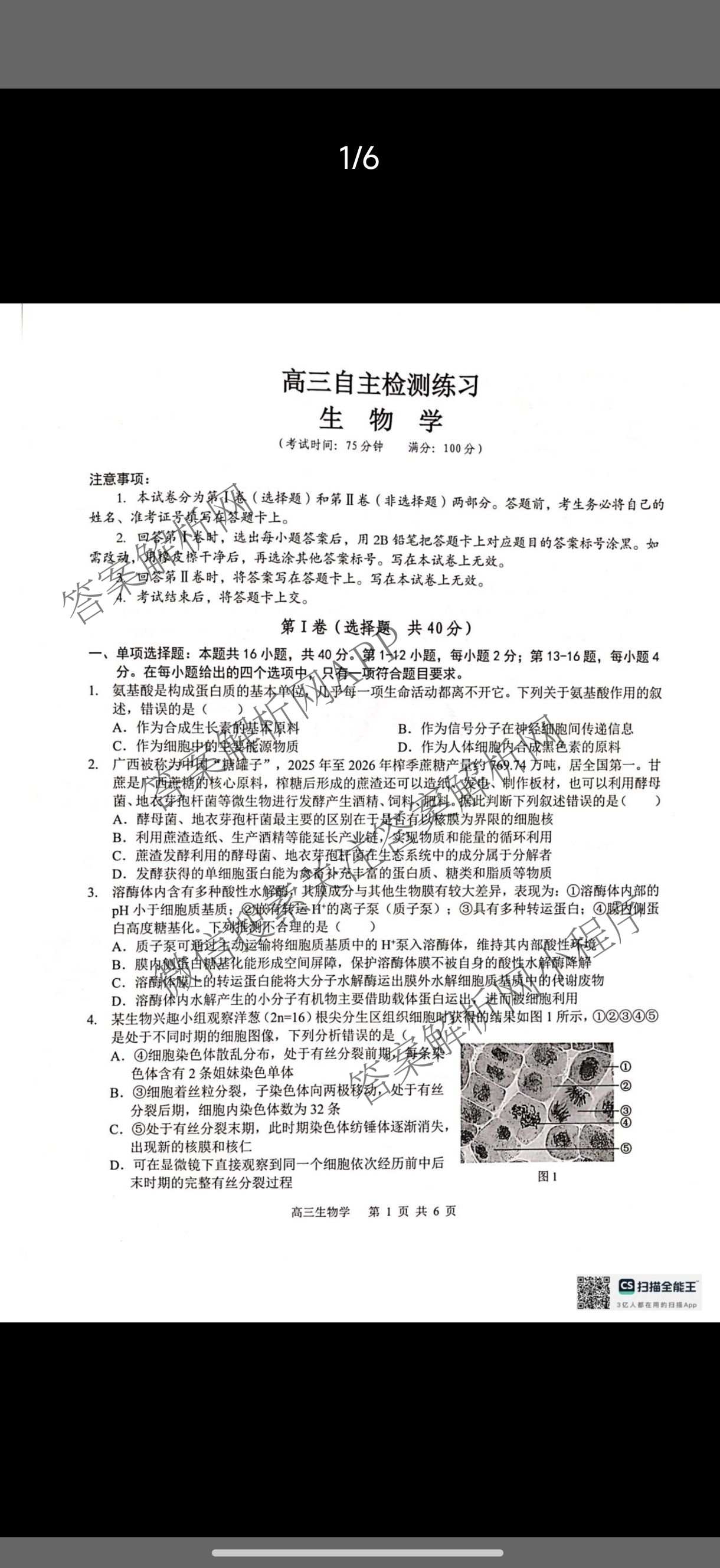 广西河池市2027届高三自主检测练(9.16)(已更新历史 数学 物理等9份)生物试题