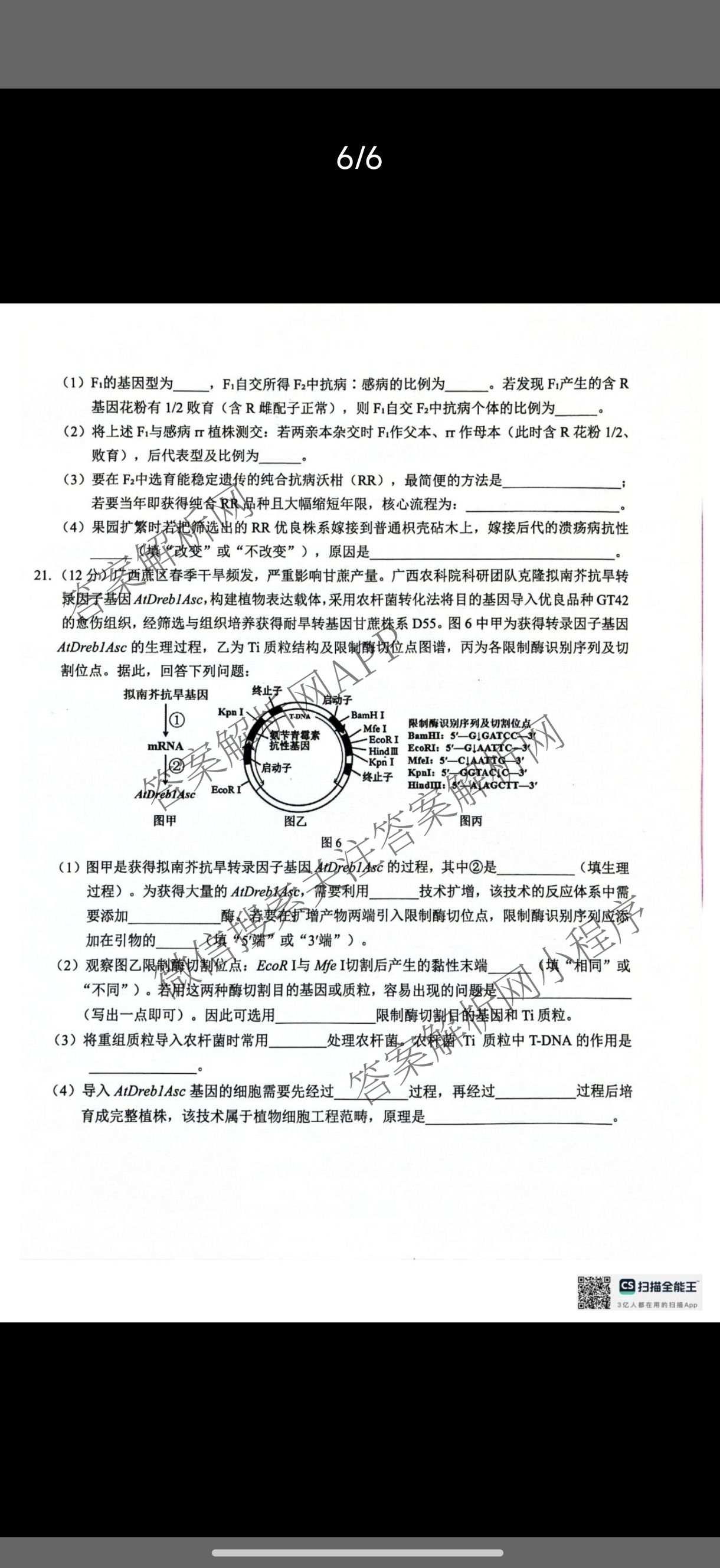 广西河池市2027届高三自主检测练(9.16)(已更新历史 数学 物理等9份)生物试题