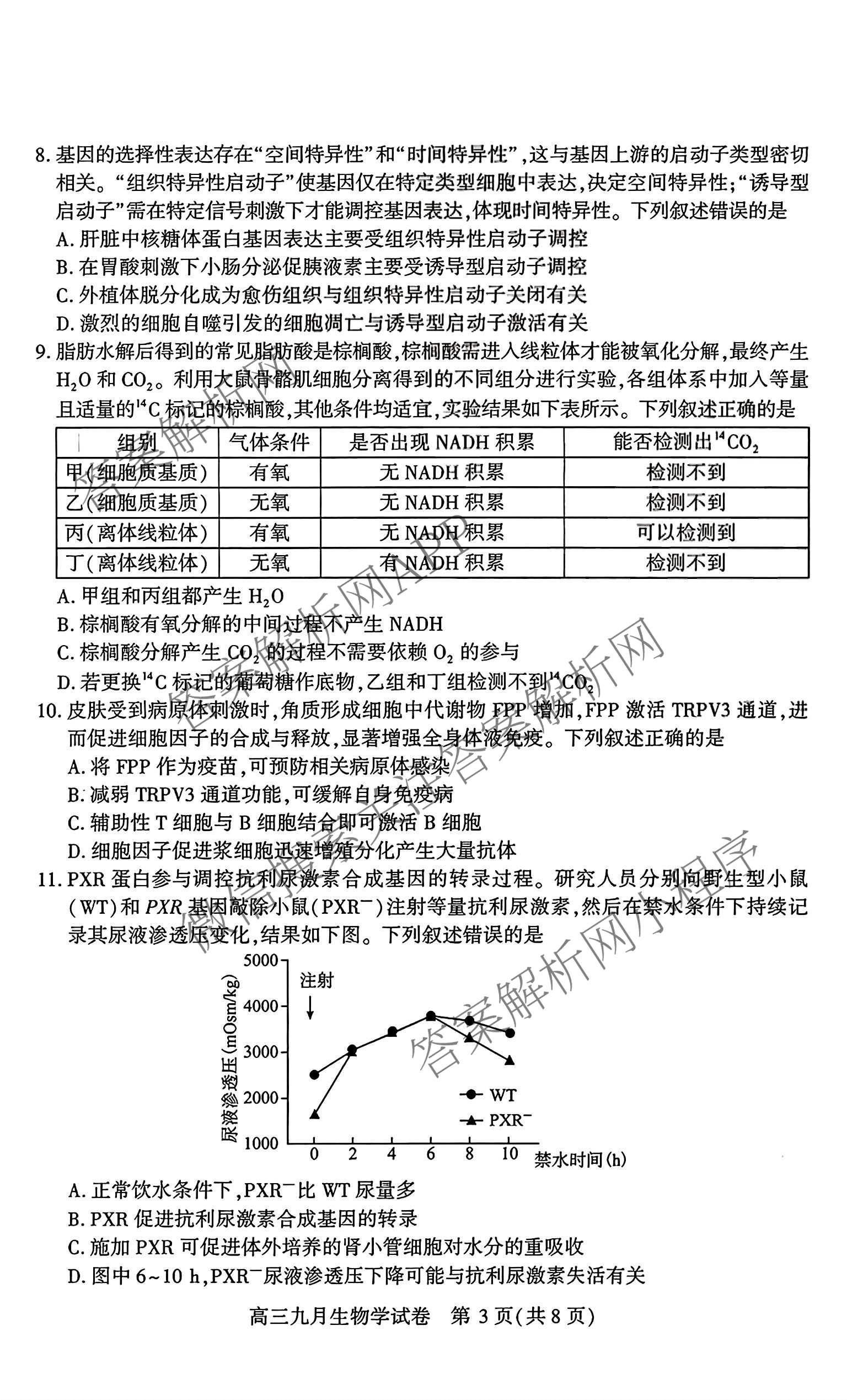 湖北省武汉市2027届高中毕业生九月调研考试2026.9.16(已更新化学 政治 生物等9份)生物试题