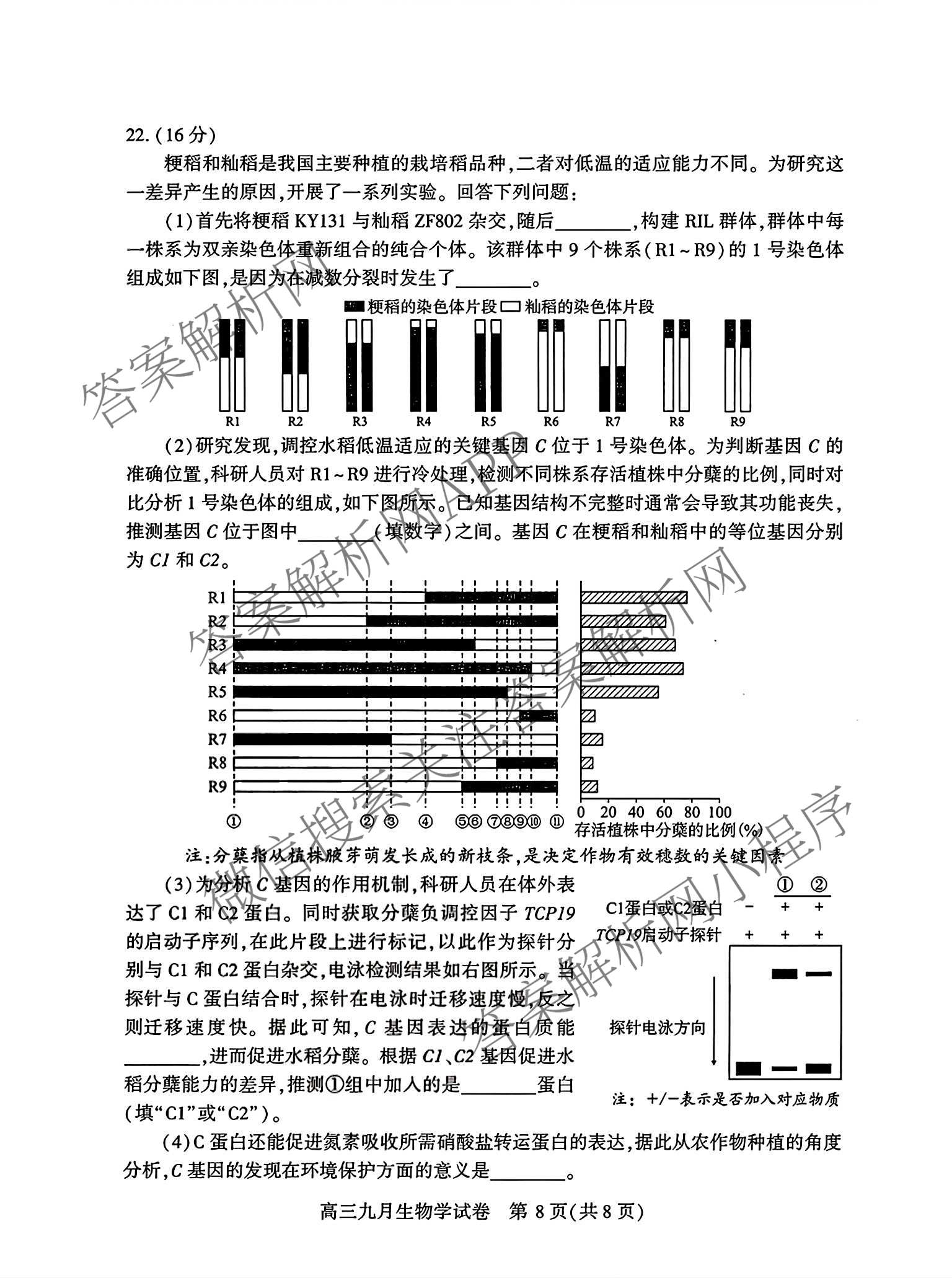 湖北省武汉市2027届高中毕业生九月调研考试2026.9.16(已更新化学 政治 生物等9份)生物试题