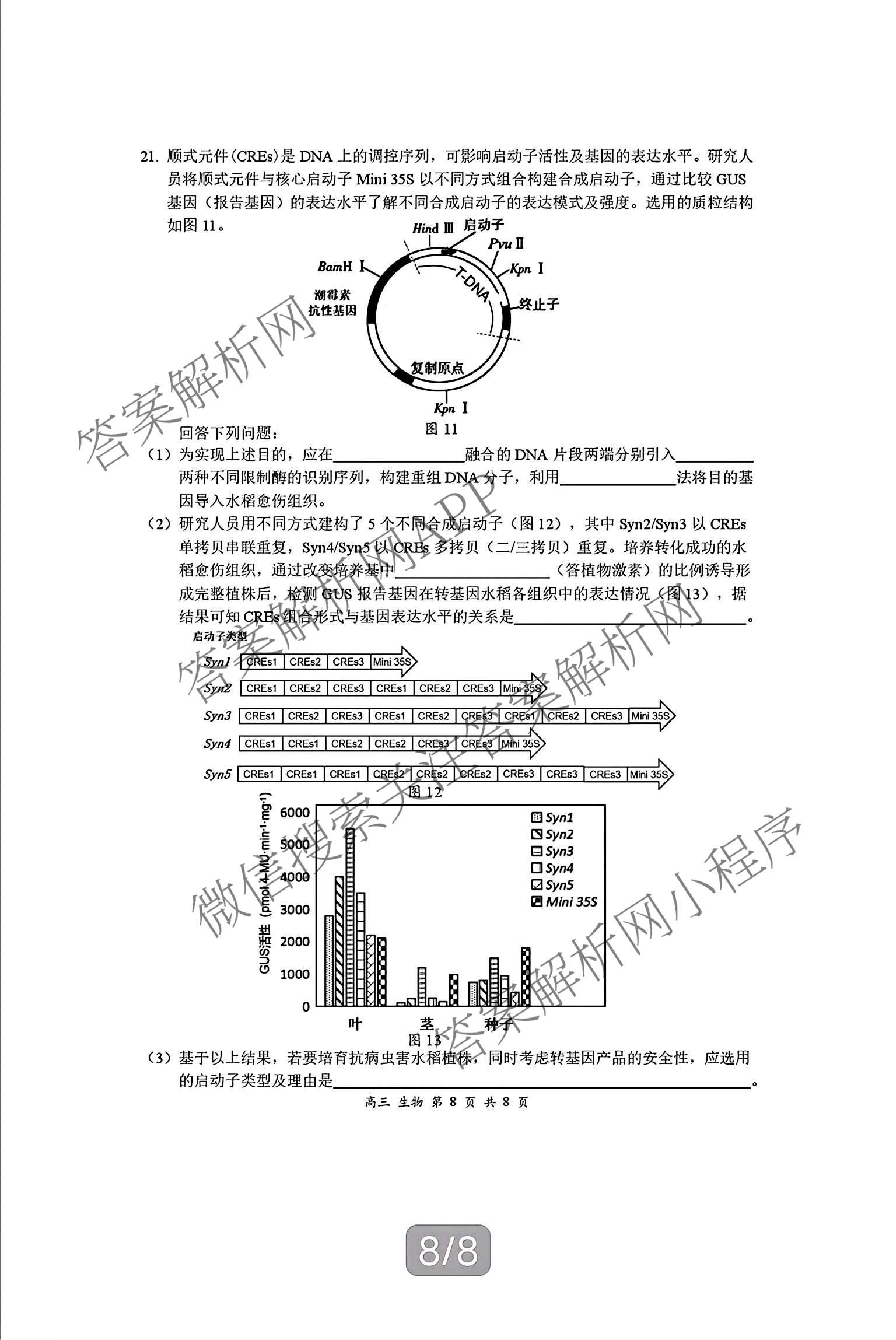 广东省宝安区2026-2027学年第一学期教学质量检测高三(2026.9)各科答案及试卷（含数学、生物、英语等）生物试题