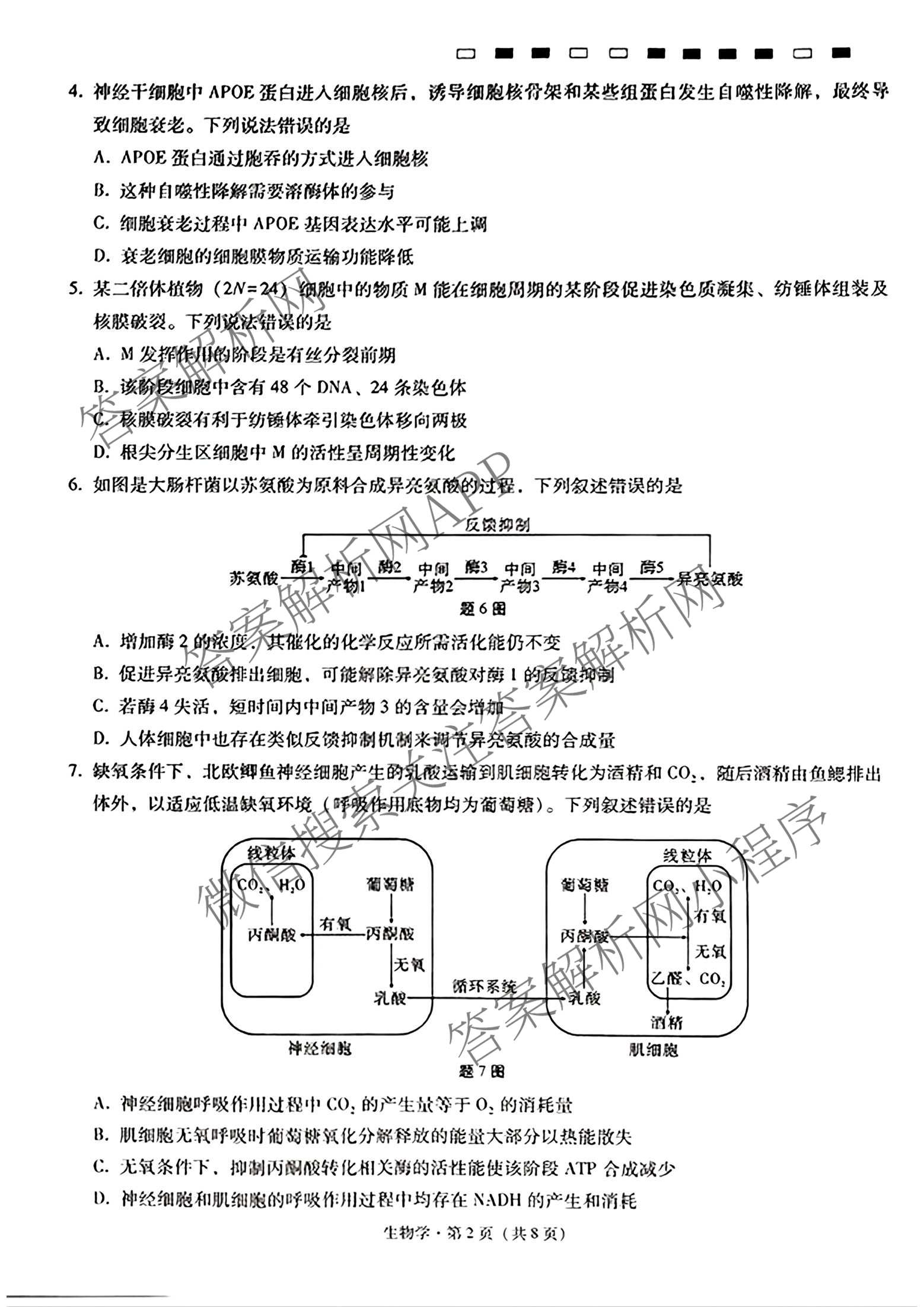 重庆巴蜀中学2027届高三9月阶段检测(白黑黑白白黑黑黑黑白黑)试卷及答案汇总（含数学 化学 地理等）生物试题