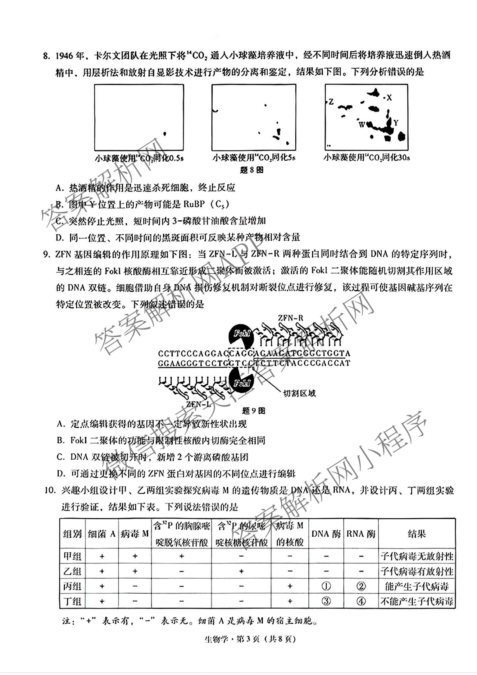 重庆巴蜀中学2027届高三9月阶段检测(白黑黑白白黑黑黑黑白黑)试卷及答案汇总（含数学 化学 地理等）生物试题