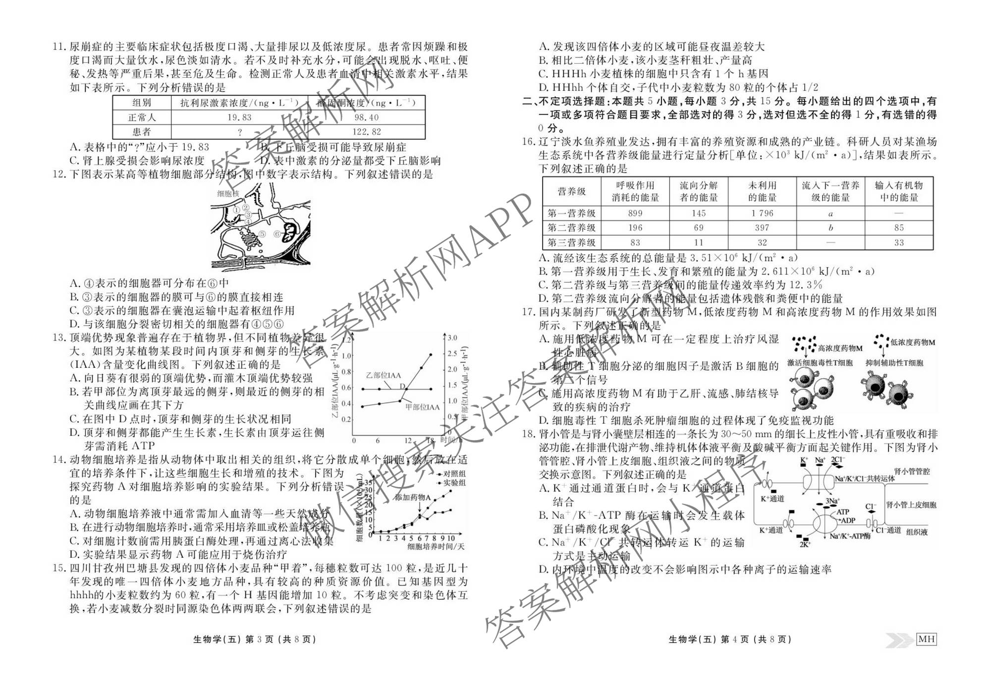 衡水金卷先享题2026年学科素养评价练(五)5(已更新地理(HJ)【河北专版】、地理(HN)【湖南专版】、生物(CY)【四川重庆专版】等90份)生物试题