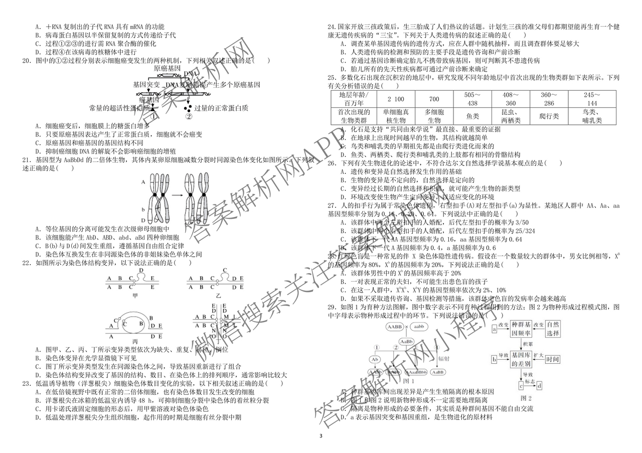 哈师大附中2024~2025学年度下学期高一期末考试各科答案及试卷: 含化学 历史 物理试卷解析生物试题