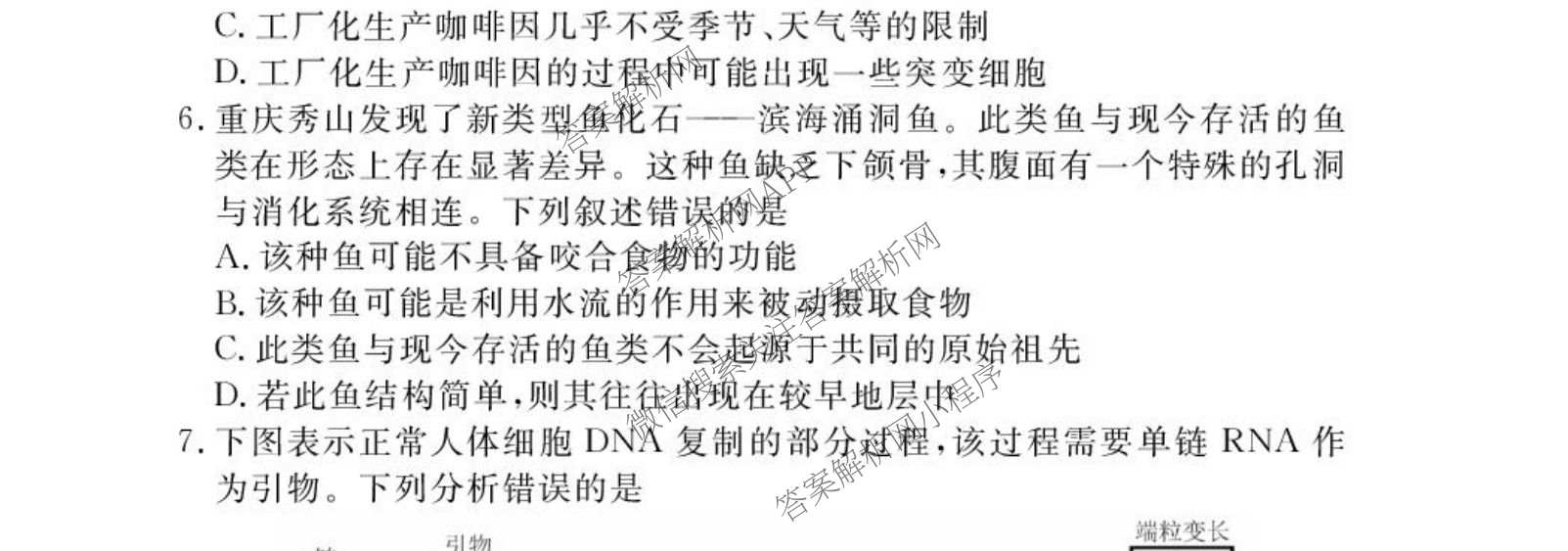 衡水金卷先享题2026年学科素养评价练(五)5(已更新地理(HJ)【河北专版】、地理(HN)【湖南专版】、生物(CY)【四川重庆专版】等90份)生物试题