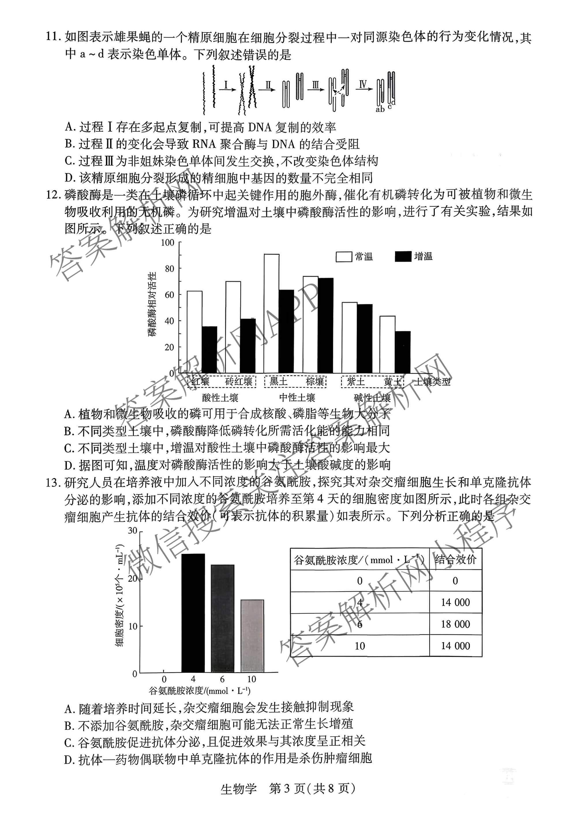 天一大联考河南省2025-2026学年高三3月联考(HN202603)（含化学、地理、政治等10份）生物试题