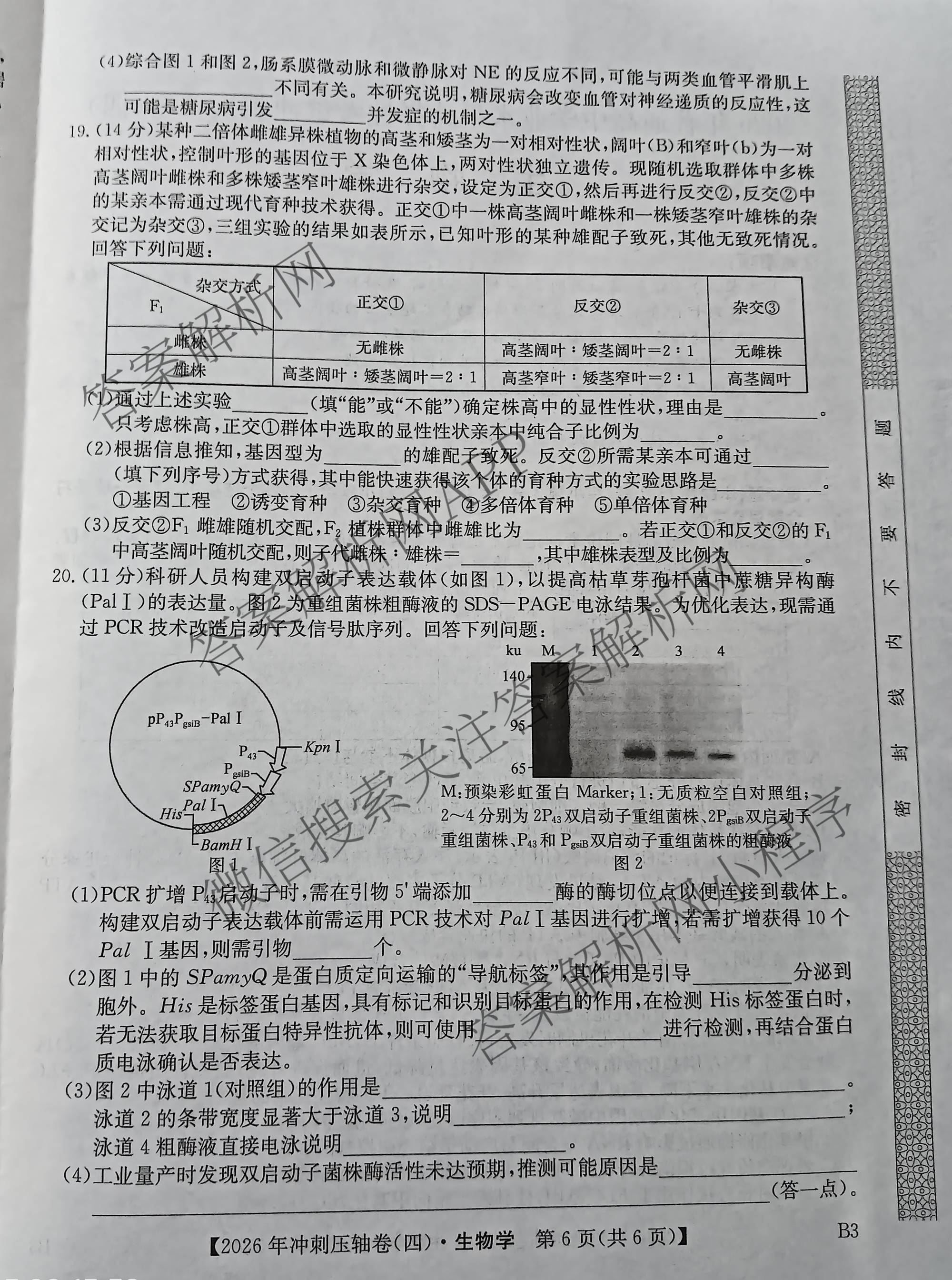 2026年全国高考冲刺压轴卷(四)4（67科全）生物试题