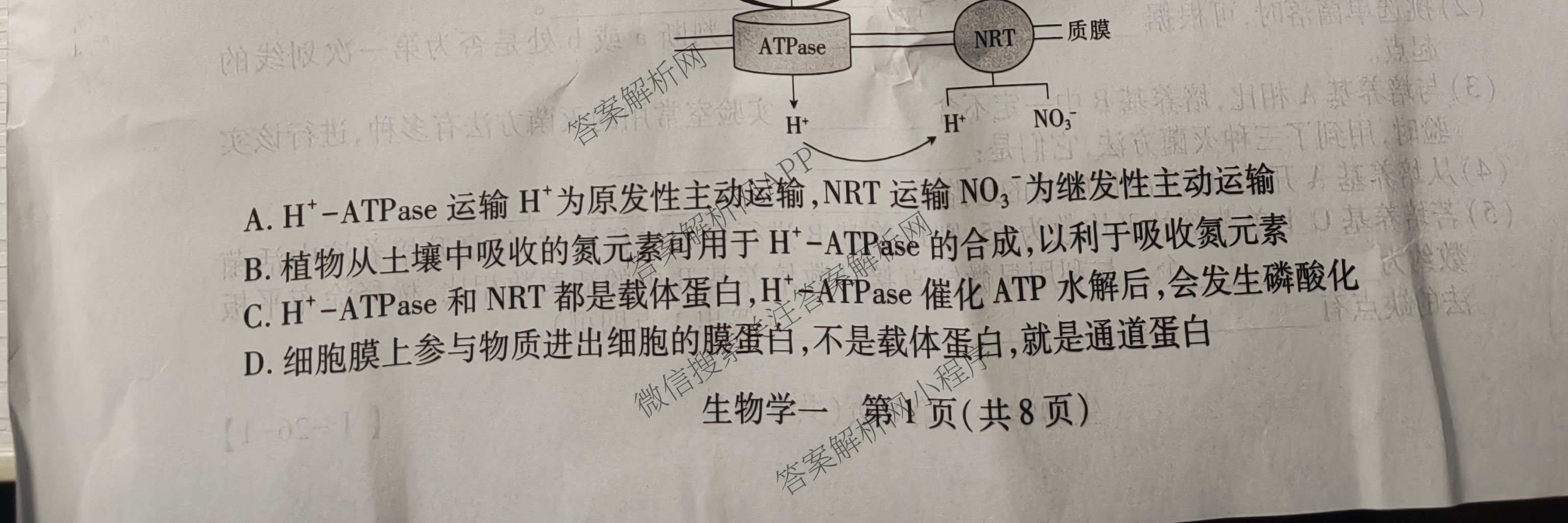 2026届智慧上进名校学术联盟高考模拟信息卷&冲刺卷&预测卷(一)1试卷及答案汇总（含化学(GD-26-1) 英语(I B-26-1) 英语(IA26-1)等）生物试题