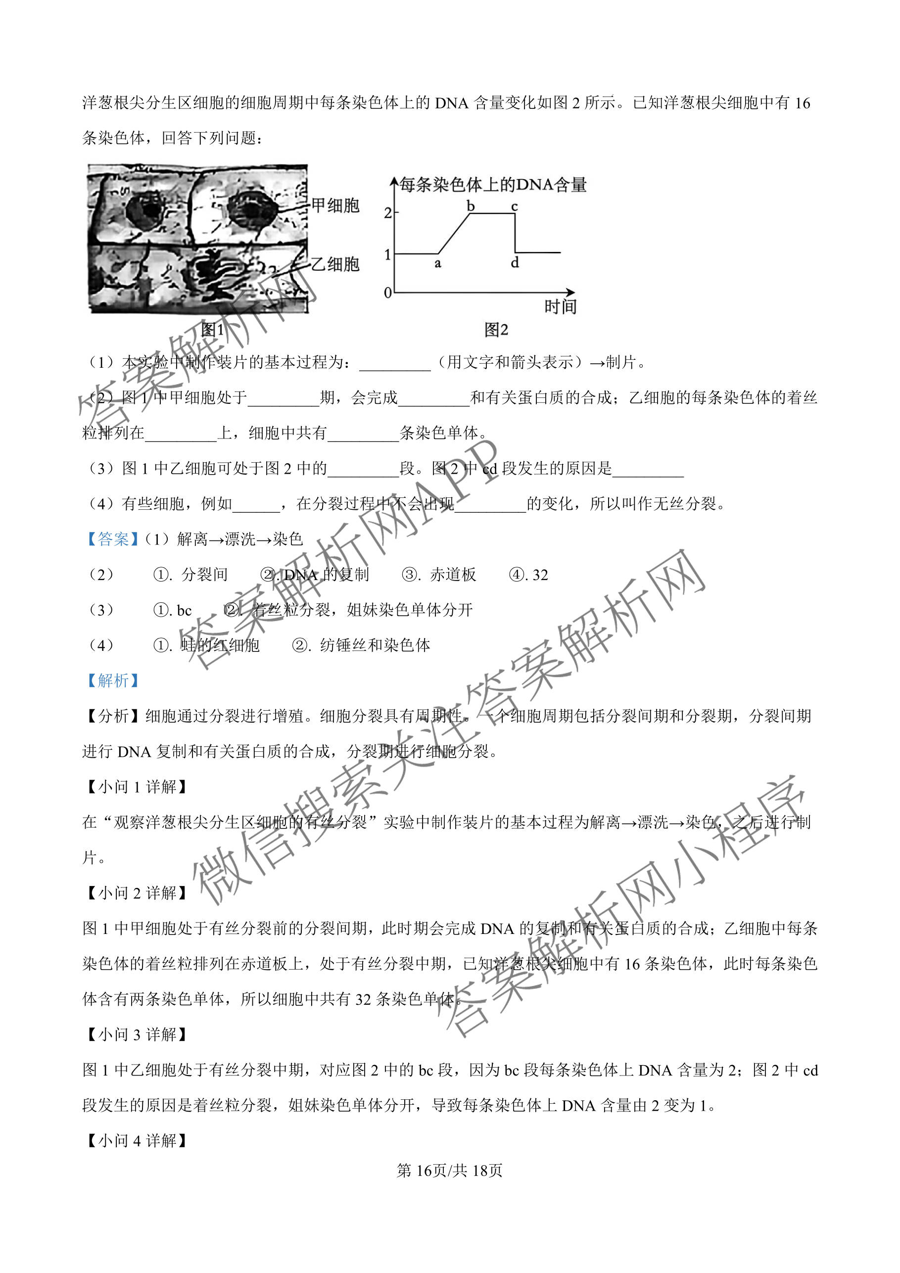 河南省2025-2026学年高一年级3月测评（含化学、政治、英语等）生物答案