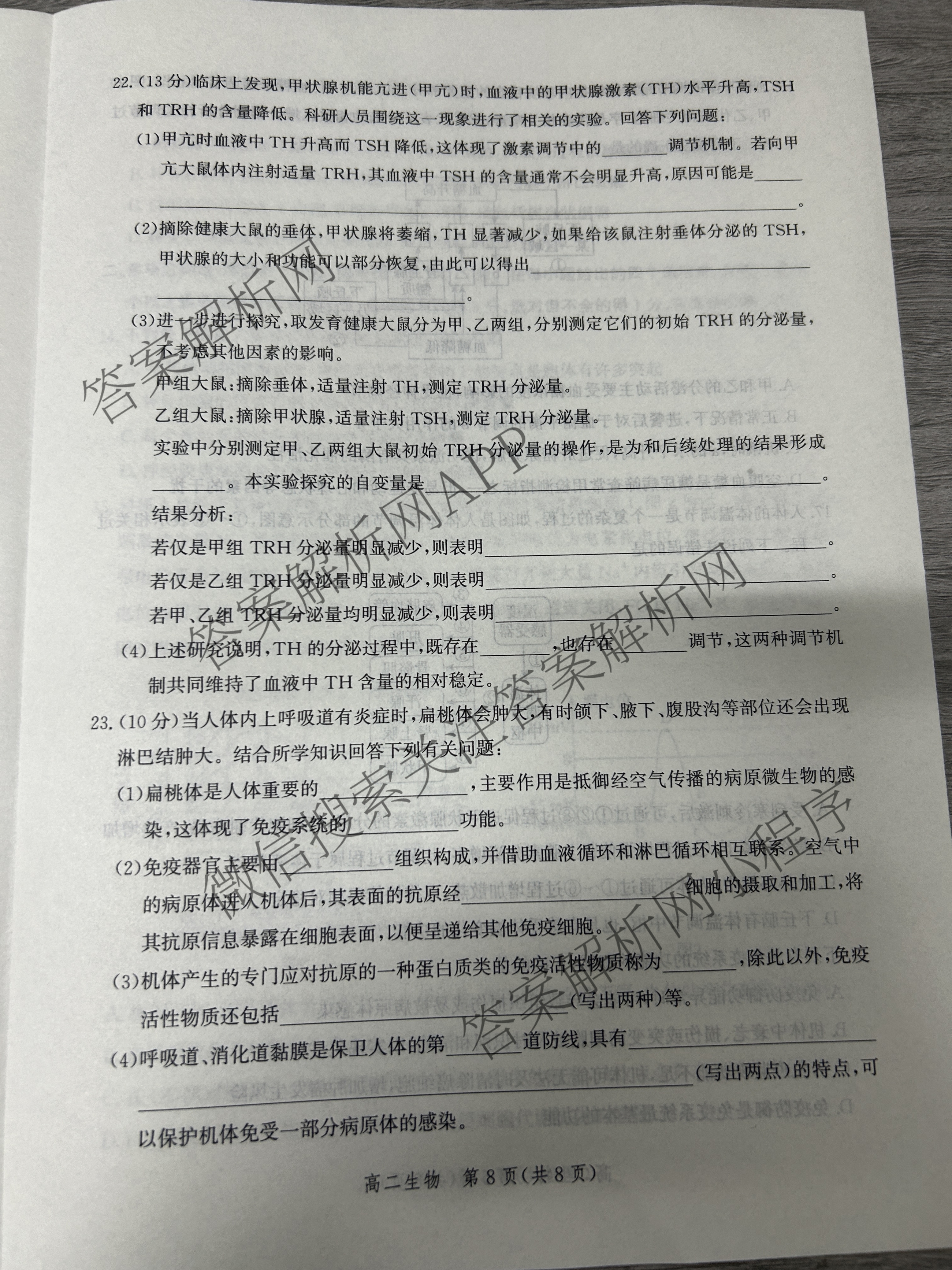河北省2024级高二年级大数据应用调研阶段性联合测评(II)试卷及答案汇总(9科全)生物试题 河北省2024级高二年级大数据应用调研阶段性联合测评(II)试卷及答案汇总(9科全)生物试题