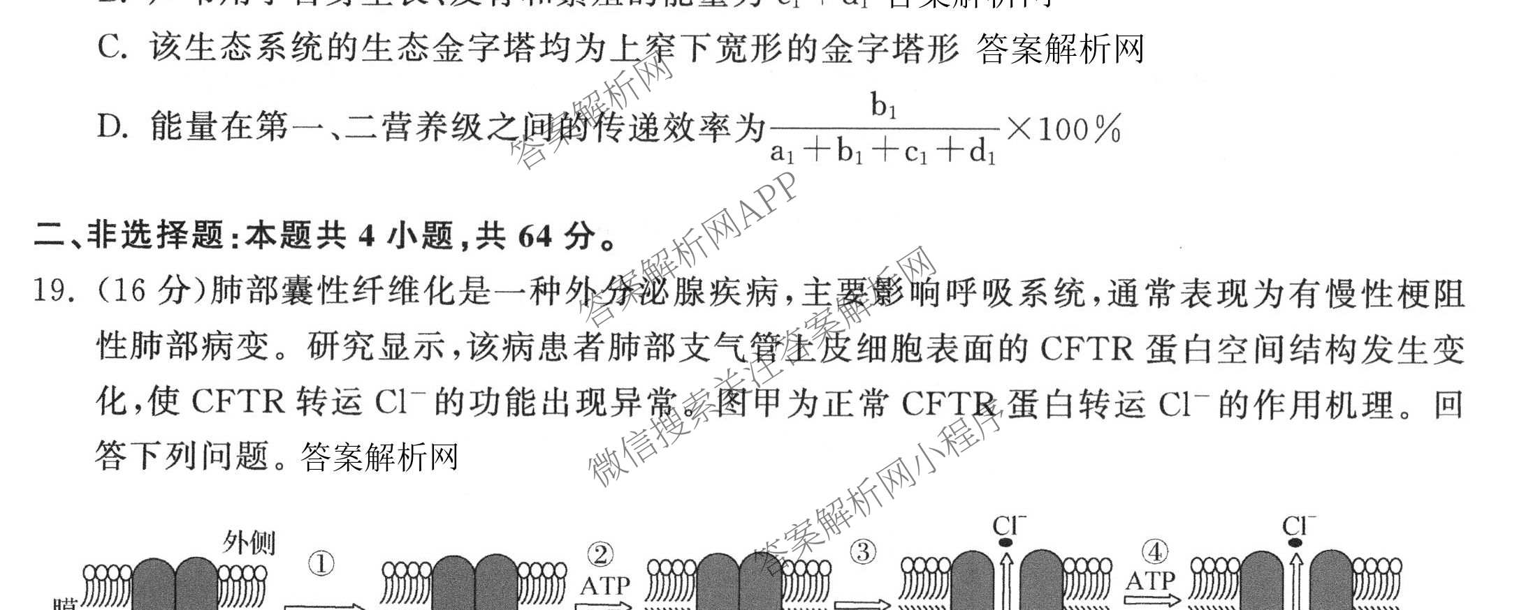 天舟高考衡中同卷2026年普通高等学校招生全国统一考试模拟信息卷(二)2试卷及答案汇总（含化学(LE)、数学(无字母)、物理(山东版)等）生物试题