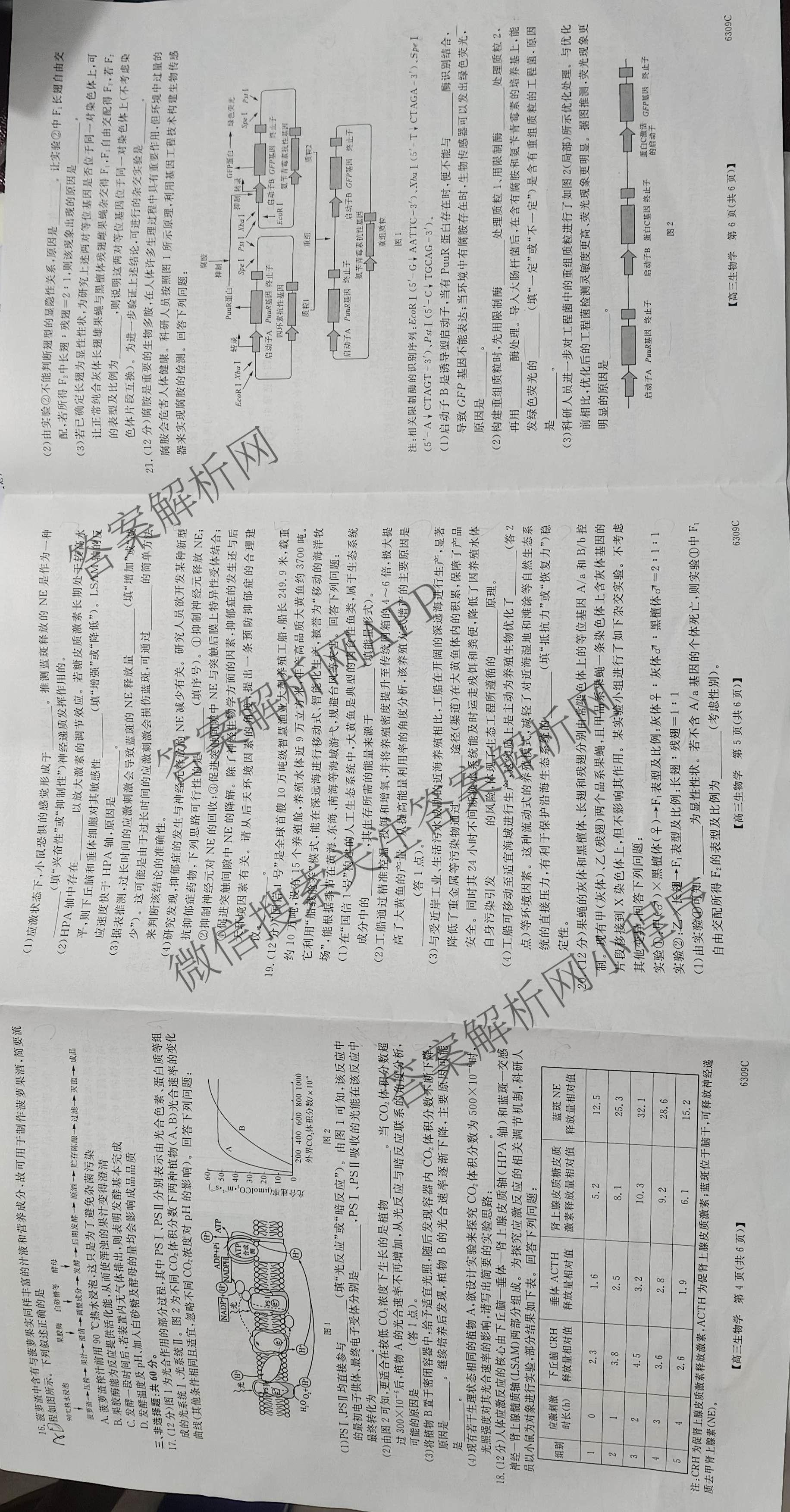 湖南省2026届高三年级3月质量检测(6309C)（9科全）生物试题