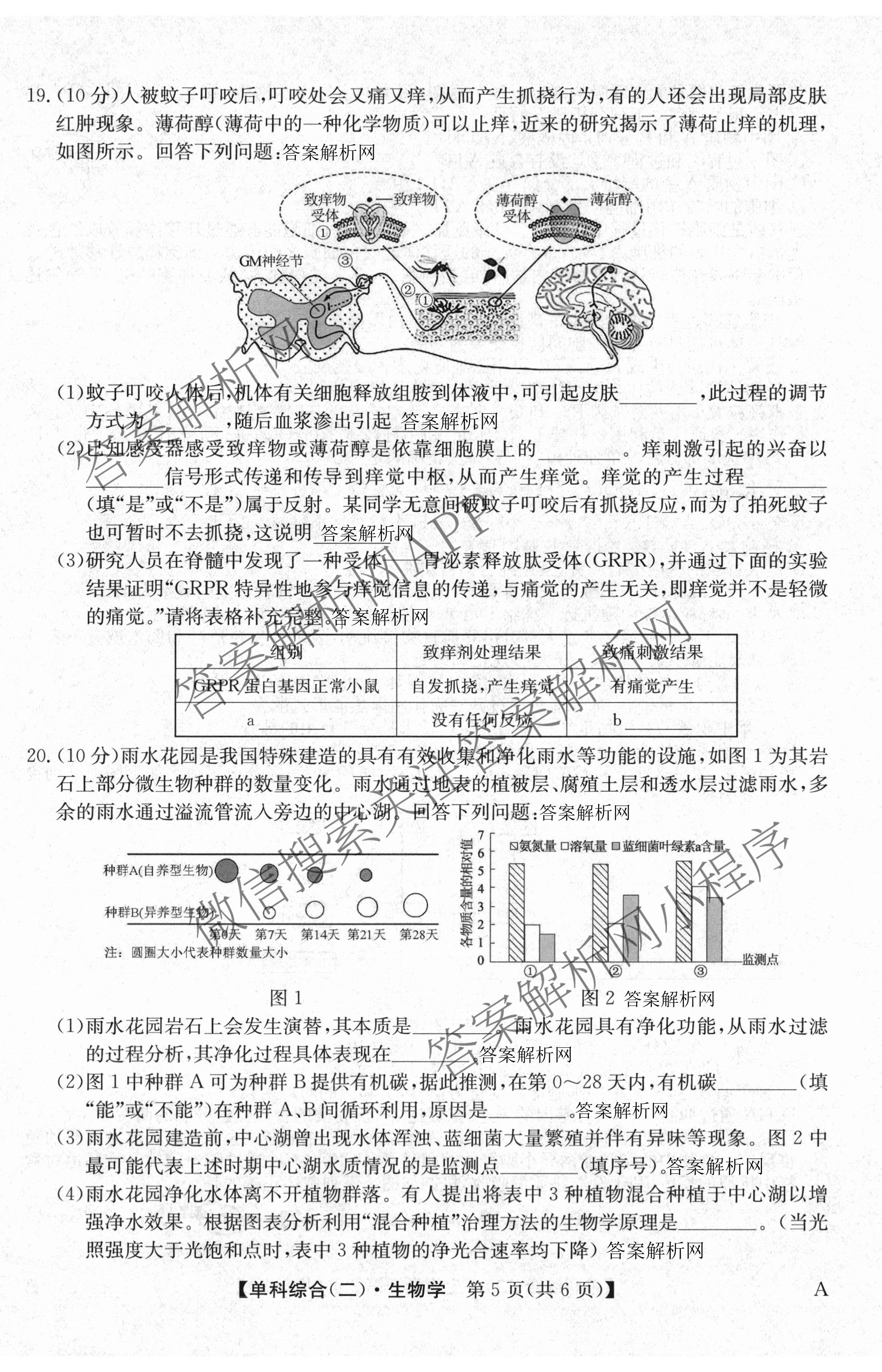 2026年高考单科综合模拟信息卷(二)2试卷及答案汇总(已更新政治(C)、地理(A)、物理(A)等9份)生物试题