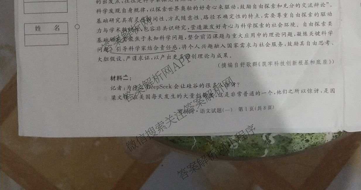 青桐鸣2025届普通高等学校招生全国统一考试高考冲刺联考卷(一)1各科答案及试卷（含地理、数学、生物等）语文试题