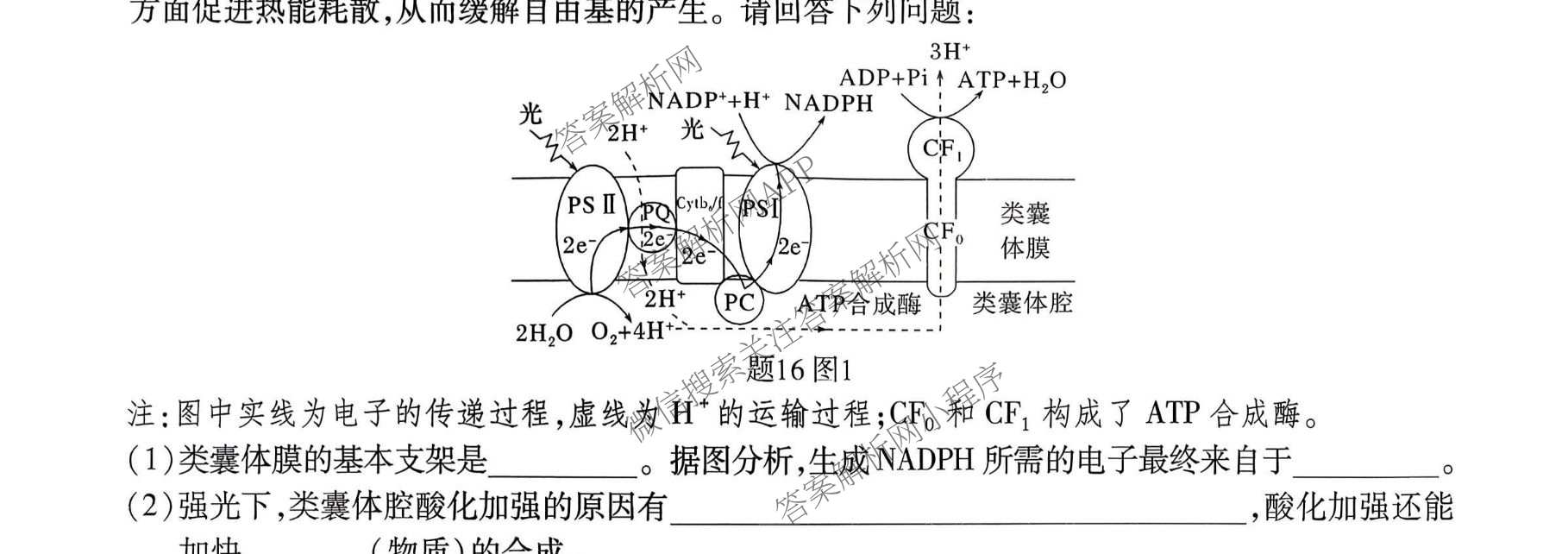 重庆市高2026届高三年级质量检测(2026.3)各科答案及试卷（含地理 物理 生物等9份）生物试题
