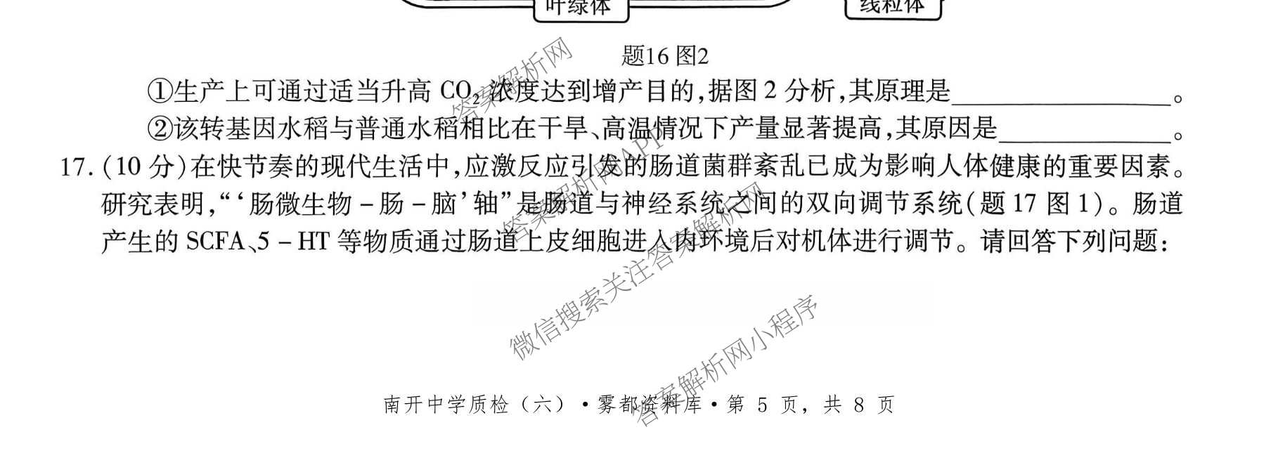 重庆市高2026届高三年级质量检测(2026.3)各科答案及试卷（含地理 物理 生物等9份）生物试题