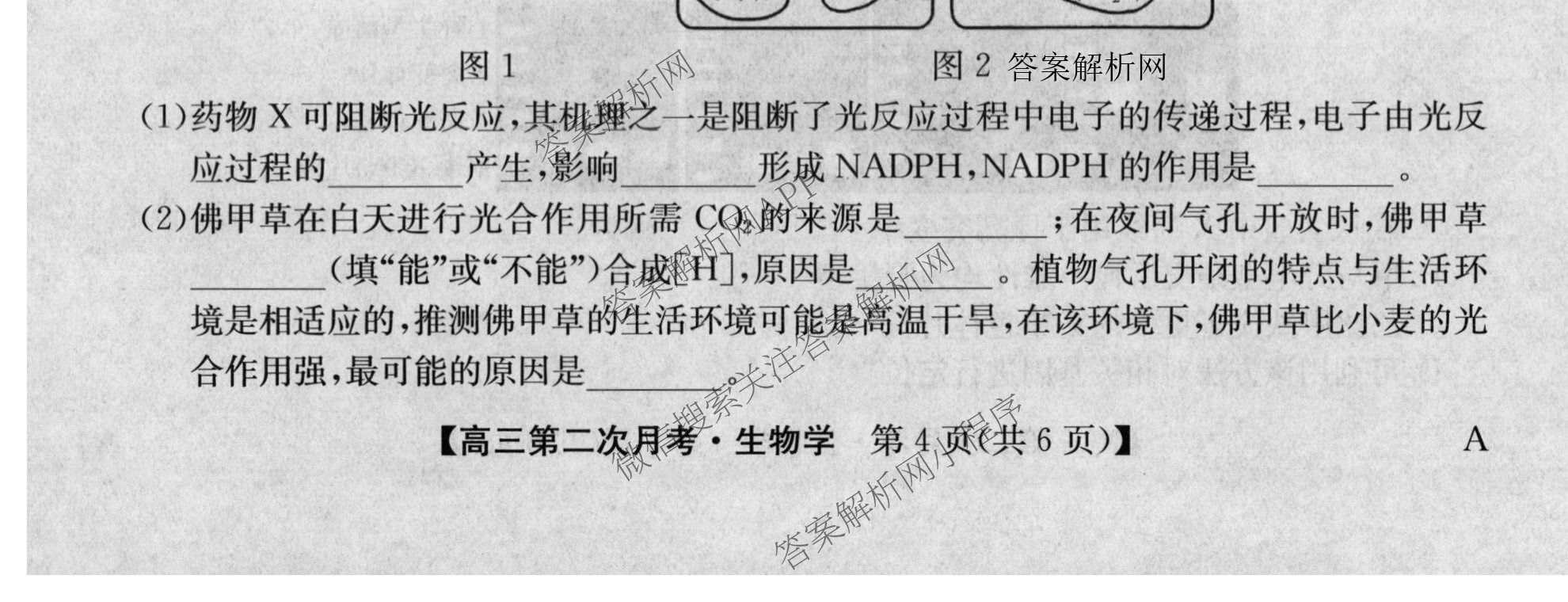 全国名校2026届高三月考滚动卷(二)2（含化学(A) 历史(A) 数学等）生物试题