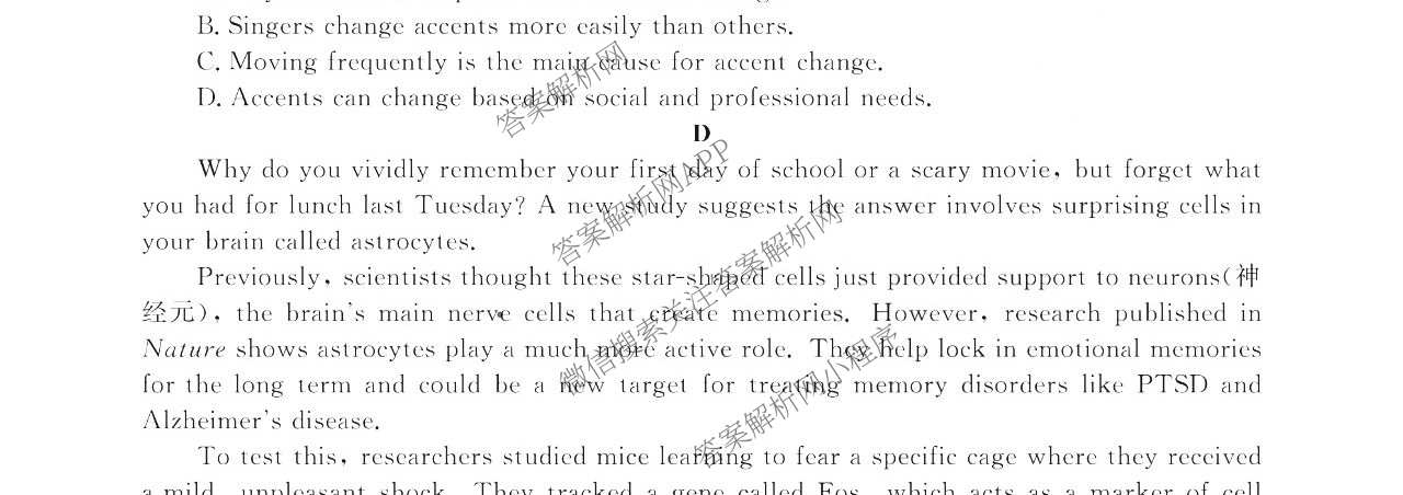 浙江强基联盟2025年12月高二联考试卷及答案汇总（含历史、物理、生物等11份）英语试题