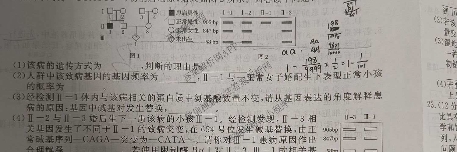 2026普通高等学校招生全国统一考试冲刺押题卷(六)6各科答案及试卷（含数学(A)、语文、生物(HBJ)等）生物试题