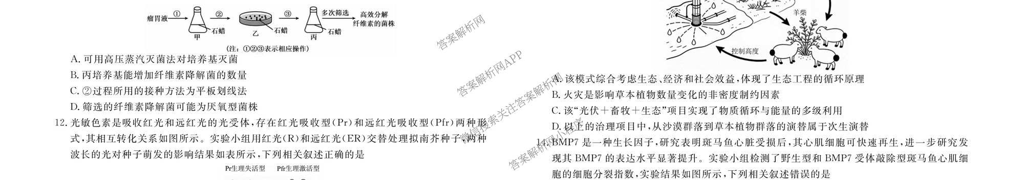衡水金卷广东省2026届高三年级3月份学情诊断(八校联考)试卷及答案汇总（含日语 生物 物理等）生物试题