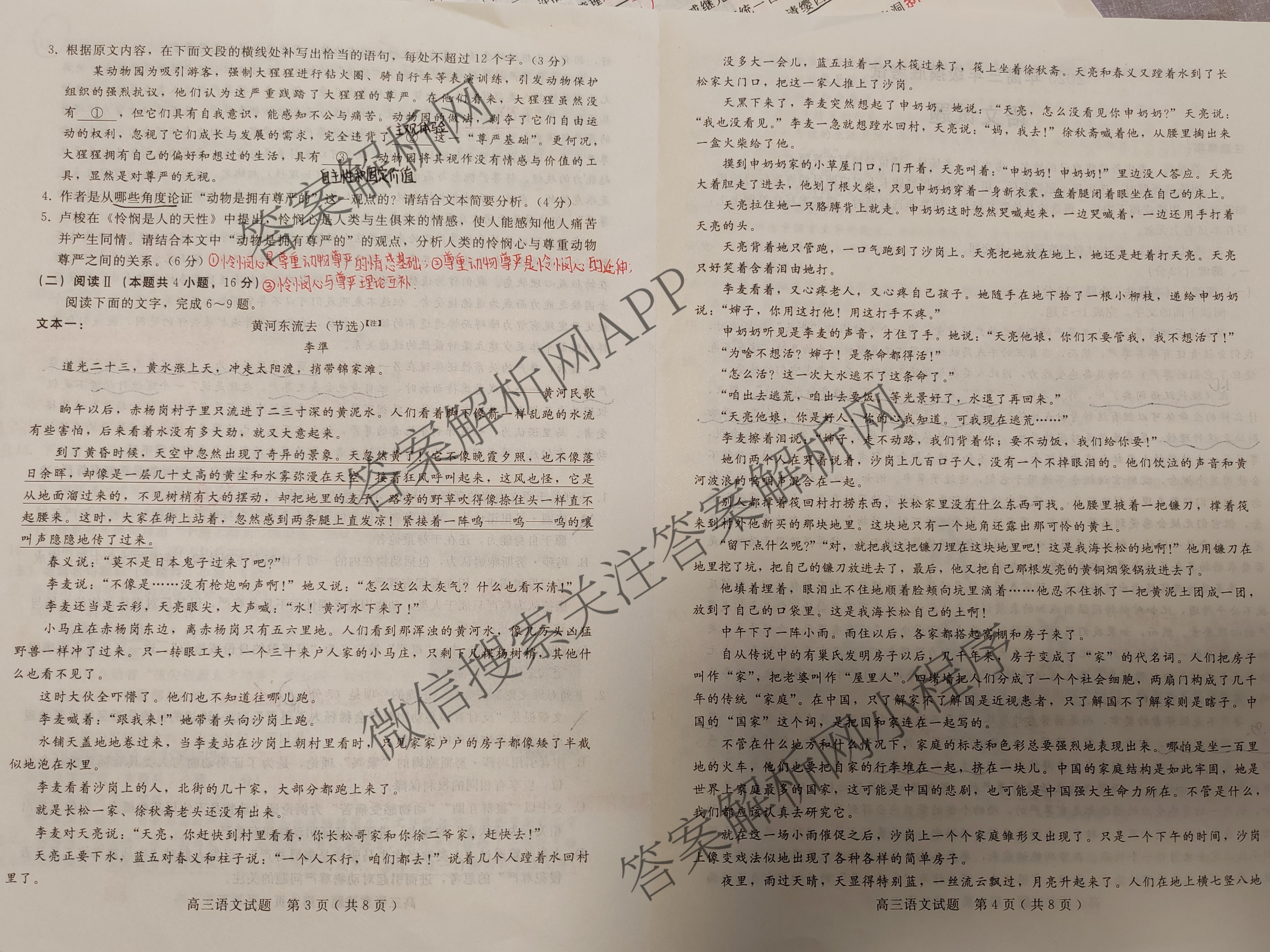河北省2025年高三年级摸底考试(10月)试卷及答案汇总（含历史 生物 语文等）语文试题