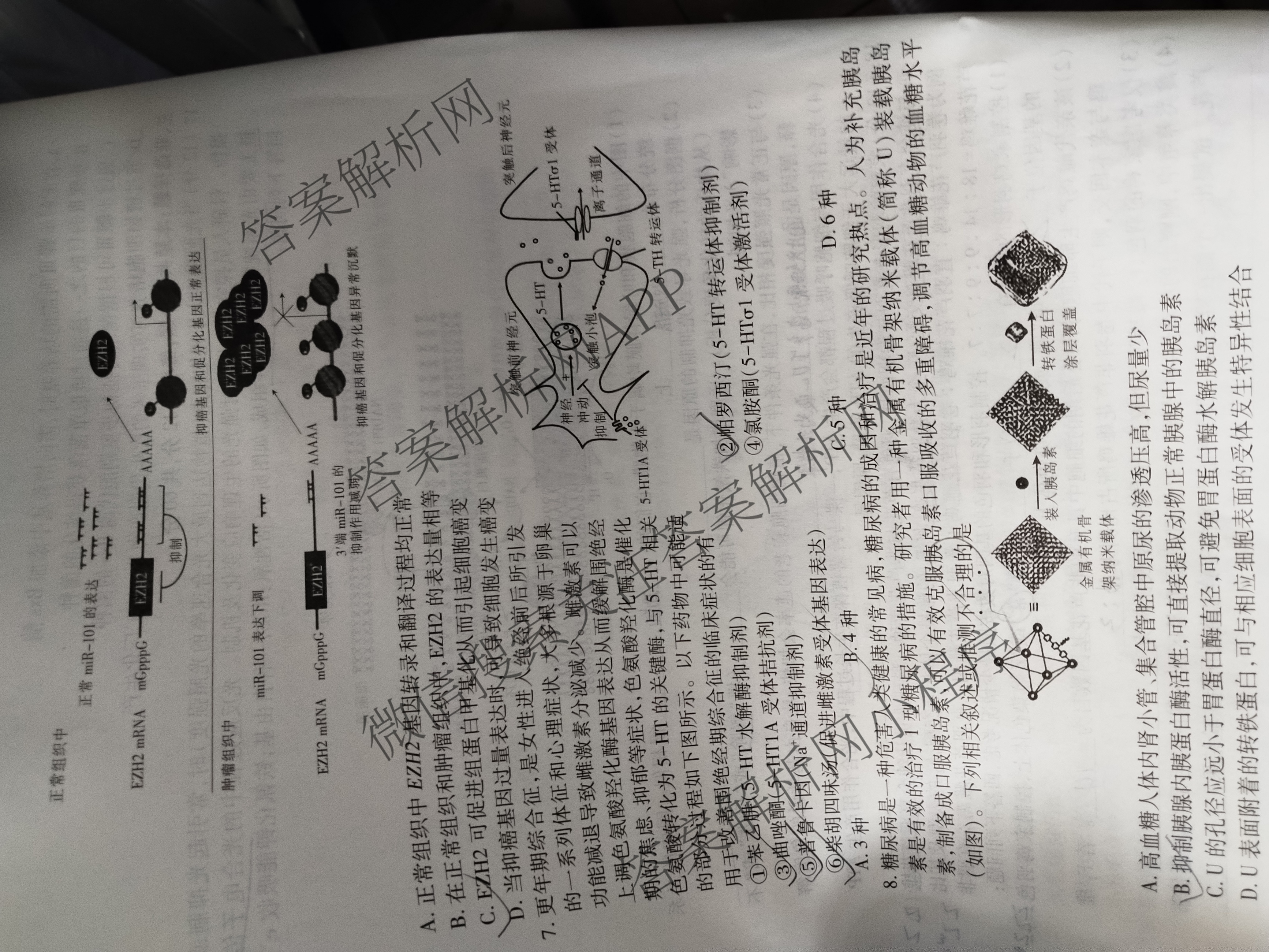 上进联考上饶市2025届高三六校第二次联合考试: 含历史 日语 生物试卷解析生物试题