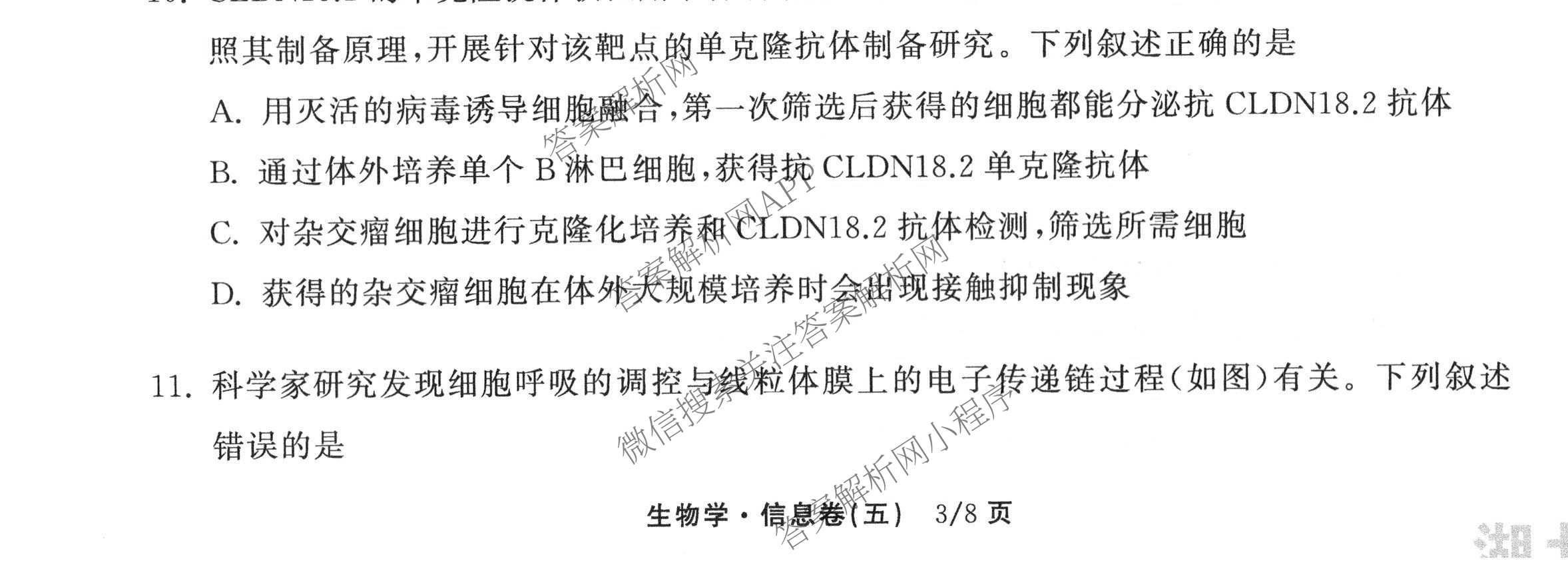 天舟高考衡中同卷2026年普通高等学校招生全国统一考试模拟信息卷(五)5试卷及答案汇总（含化学(WG)、化学(WY)、物理(山东版)等）生物试题