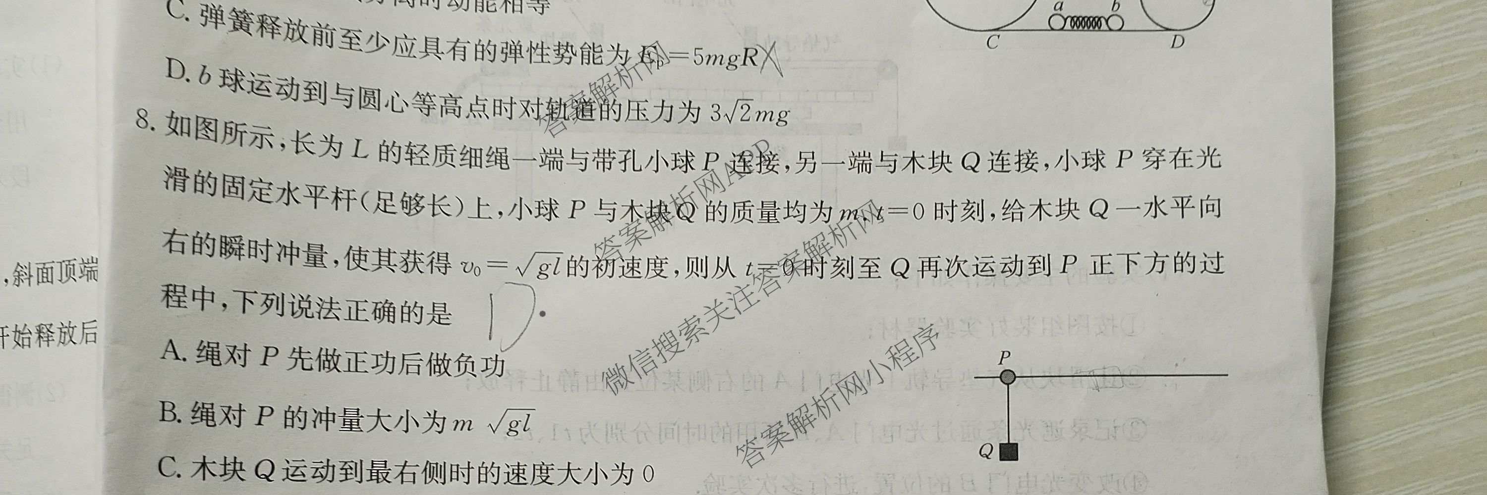 安徽省2025~2026学年度高三年级十一月份月考(26-X-292C)各科答案及试卷: 含英语(应历届) 生物(应历届) 政治试卷解析物理试题