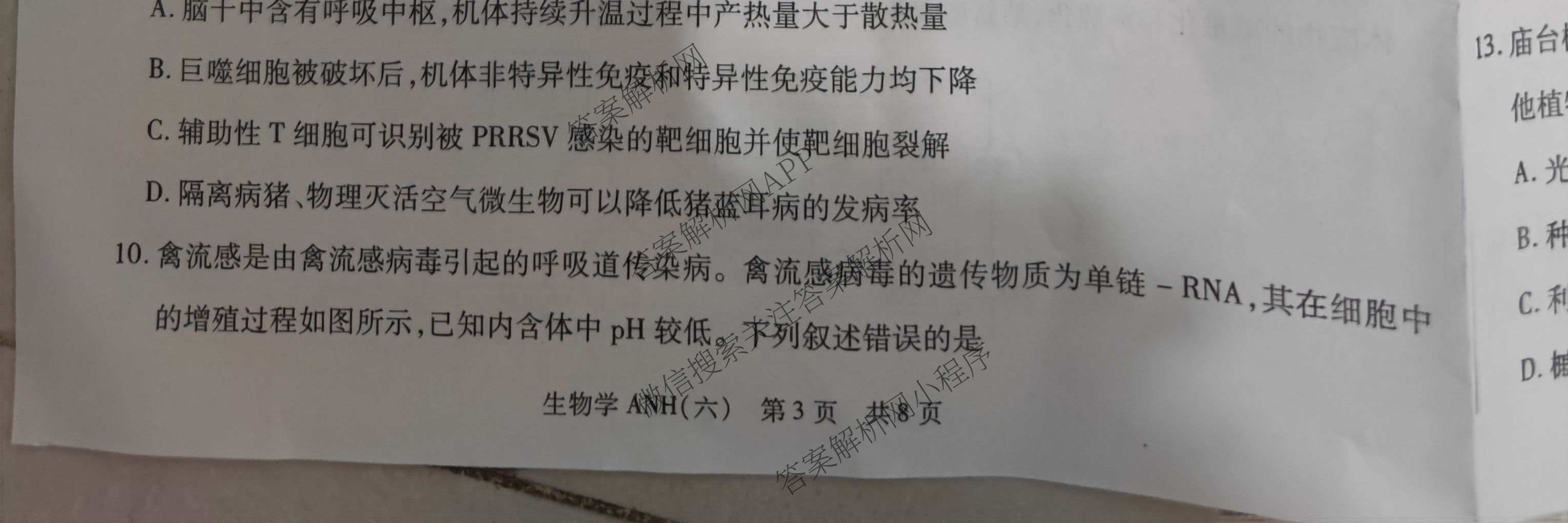 天一大联考2026届高三冲刺(六)6（含物理(SHX) 物理(ANH) 化学(ANH)等27份）生物试题