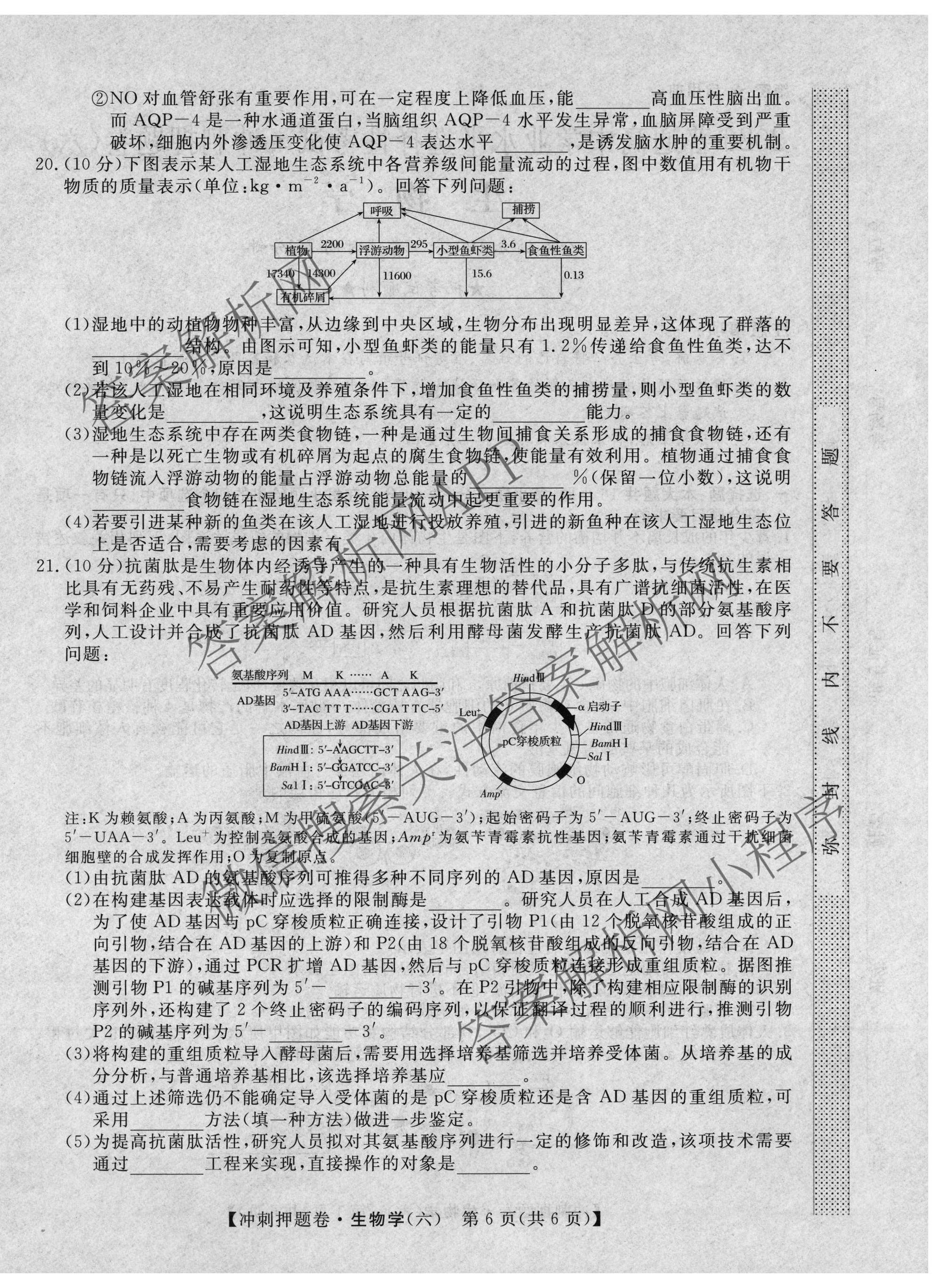 2026普通高等学校招生全国统一考试冲刺押题卷(六)6各科答案及试卷（含数学(B)、语文、生物(AC)等）生物试题