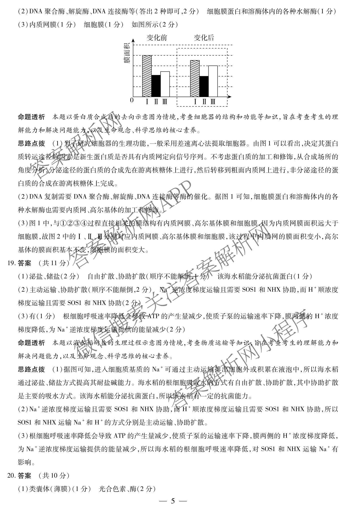  天一大联考2025-2026学年(上)高三阶段性检测试卷及答案汇总(已更新化学、化学(鲁科版)、历史等11份)生物答案