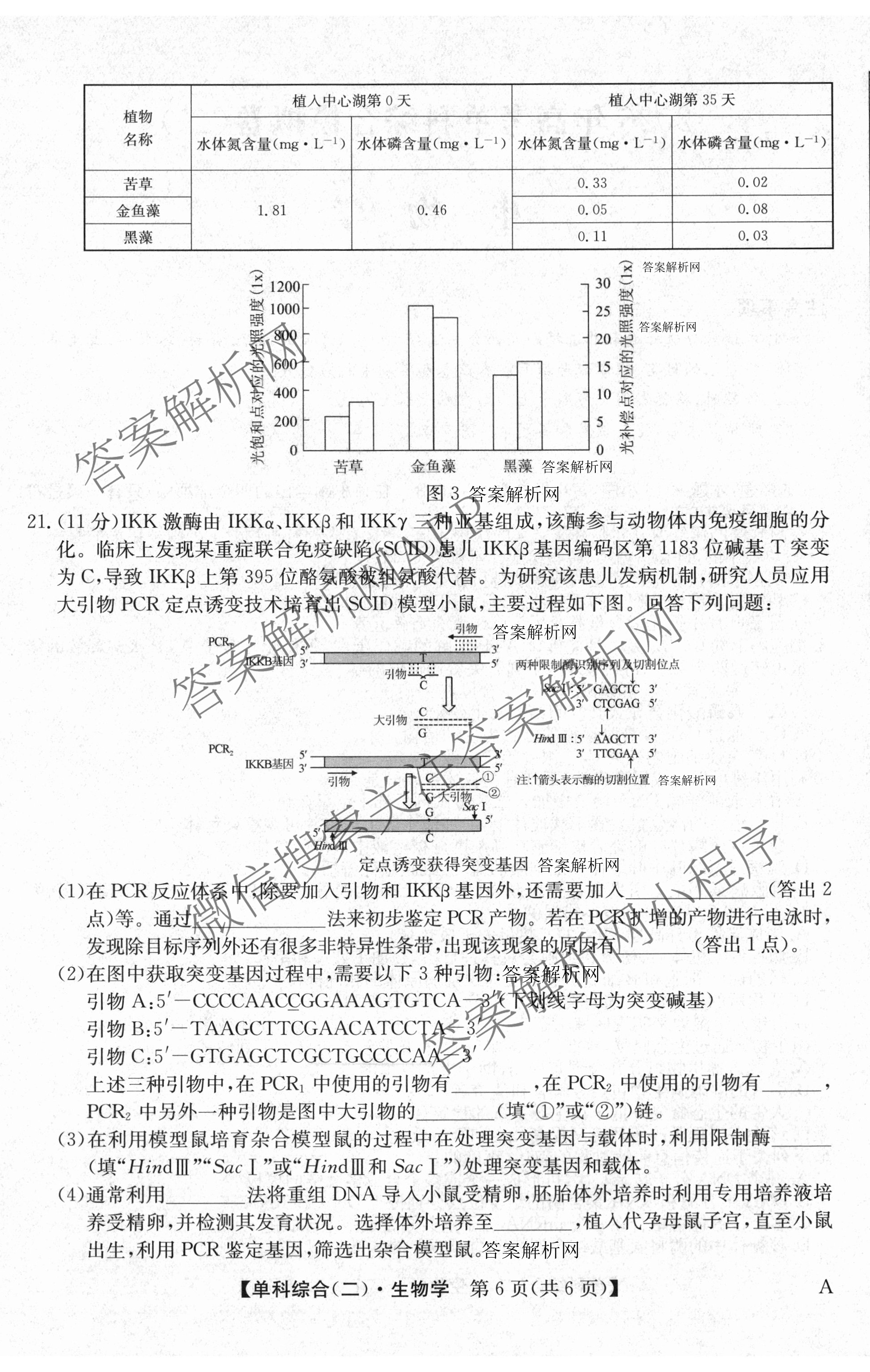 2026年高考单科综合模拟信息卷(二)2试卷及答案汇总(已更新政治(C)、地理(A)、物理(A)等9份)生物试题