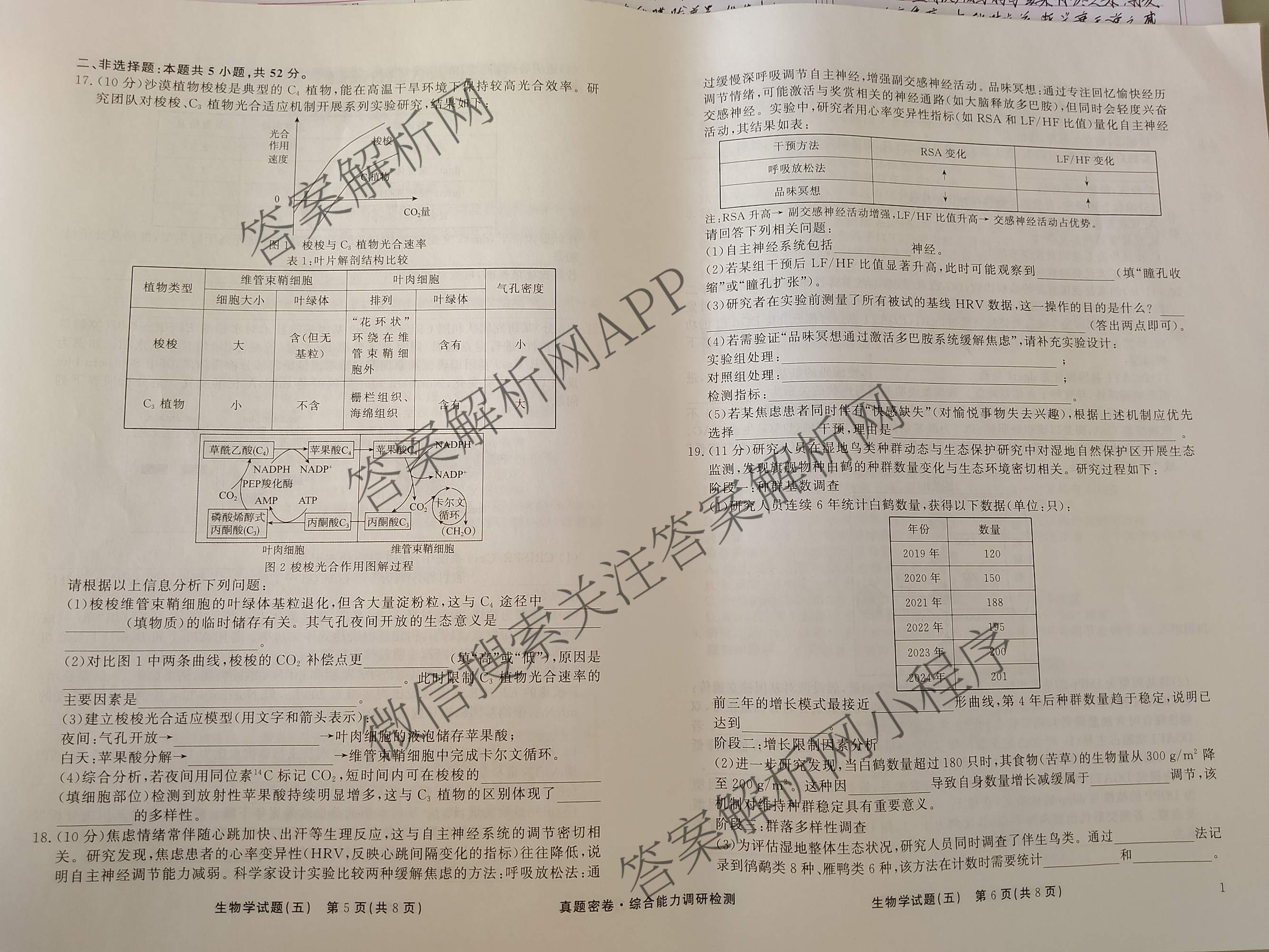 衡水真题密卷2025-2026学年度综合能力调研检测(五)5试卷及答案汇总（15科全）生物试题