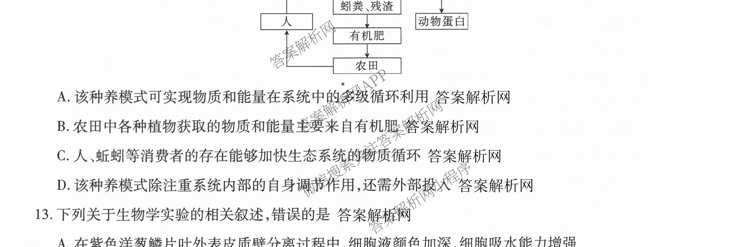 智慧上进2026届高三总复双向达标月考调研卷(六)6试卷及答案汇总（含化学(HEN) 政治 英语(I)等）生物试题