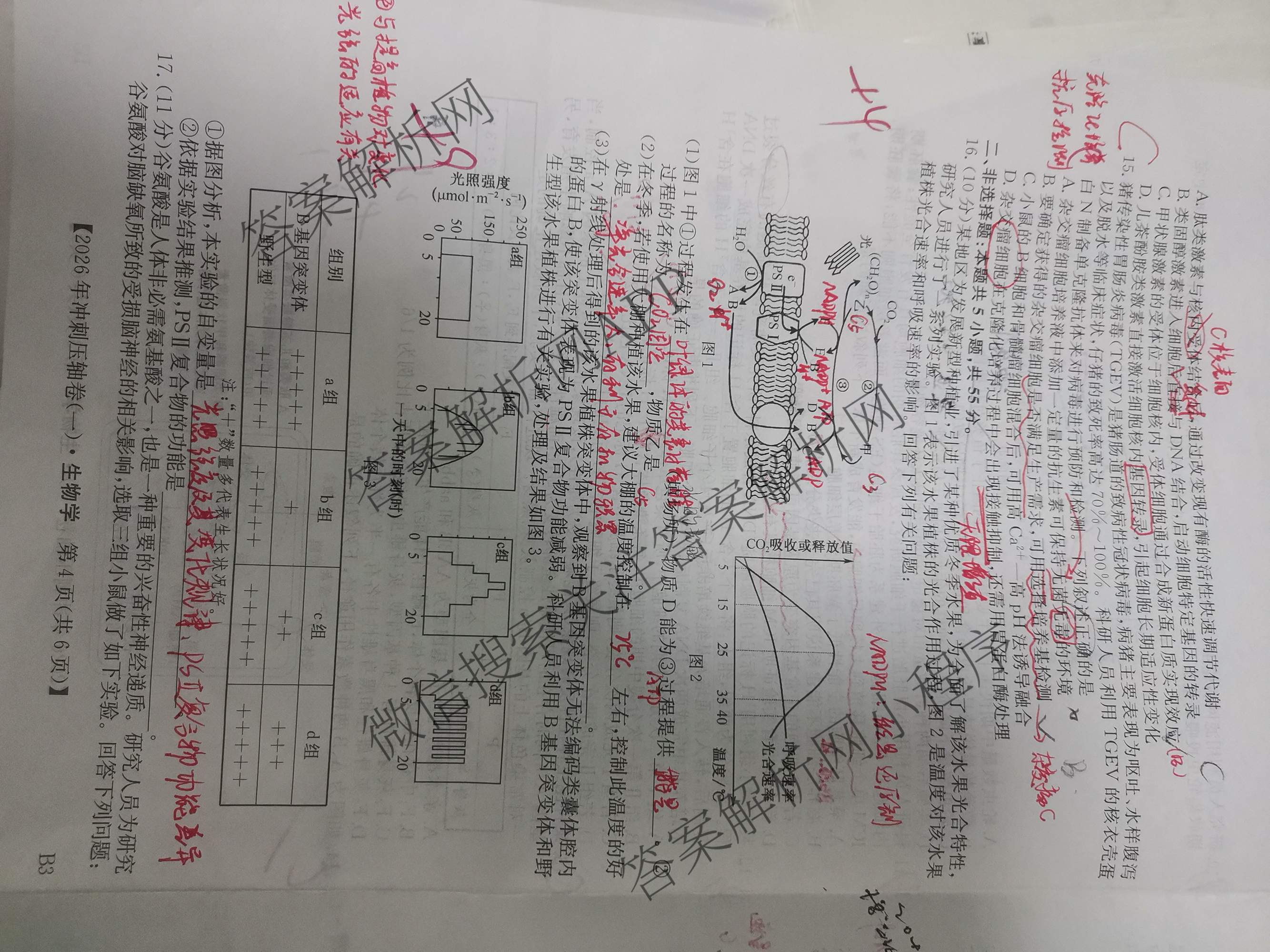 2026年全国高考冲刺压轴卷(一)1各科答案及试卷（含化学(广西) 数学 物理(AH)等67份）生物试题