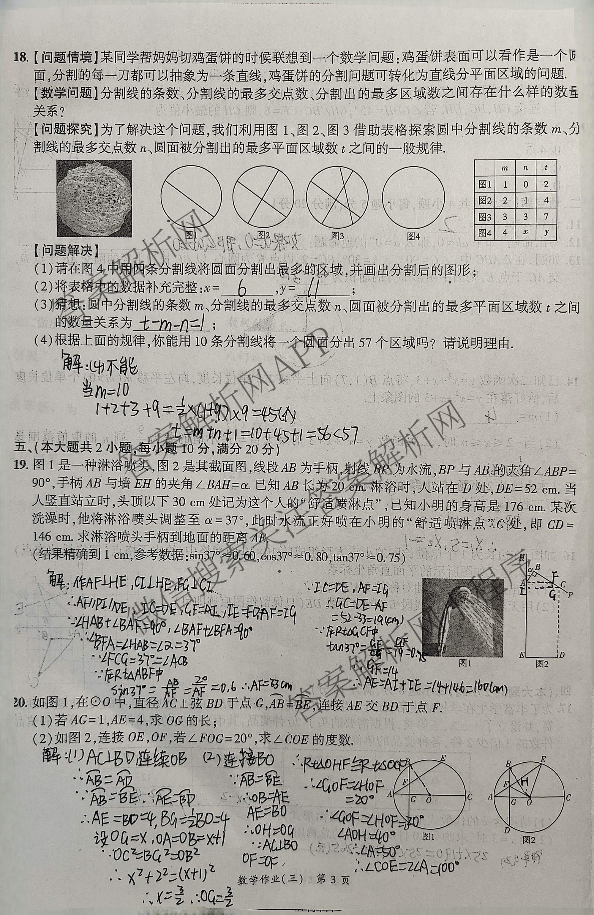 安徽省2026届九年级作业(三)各科答案及试卷（含英语 道德与法治 数学等）数学试题