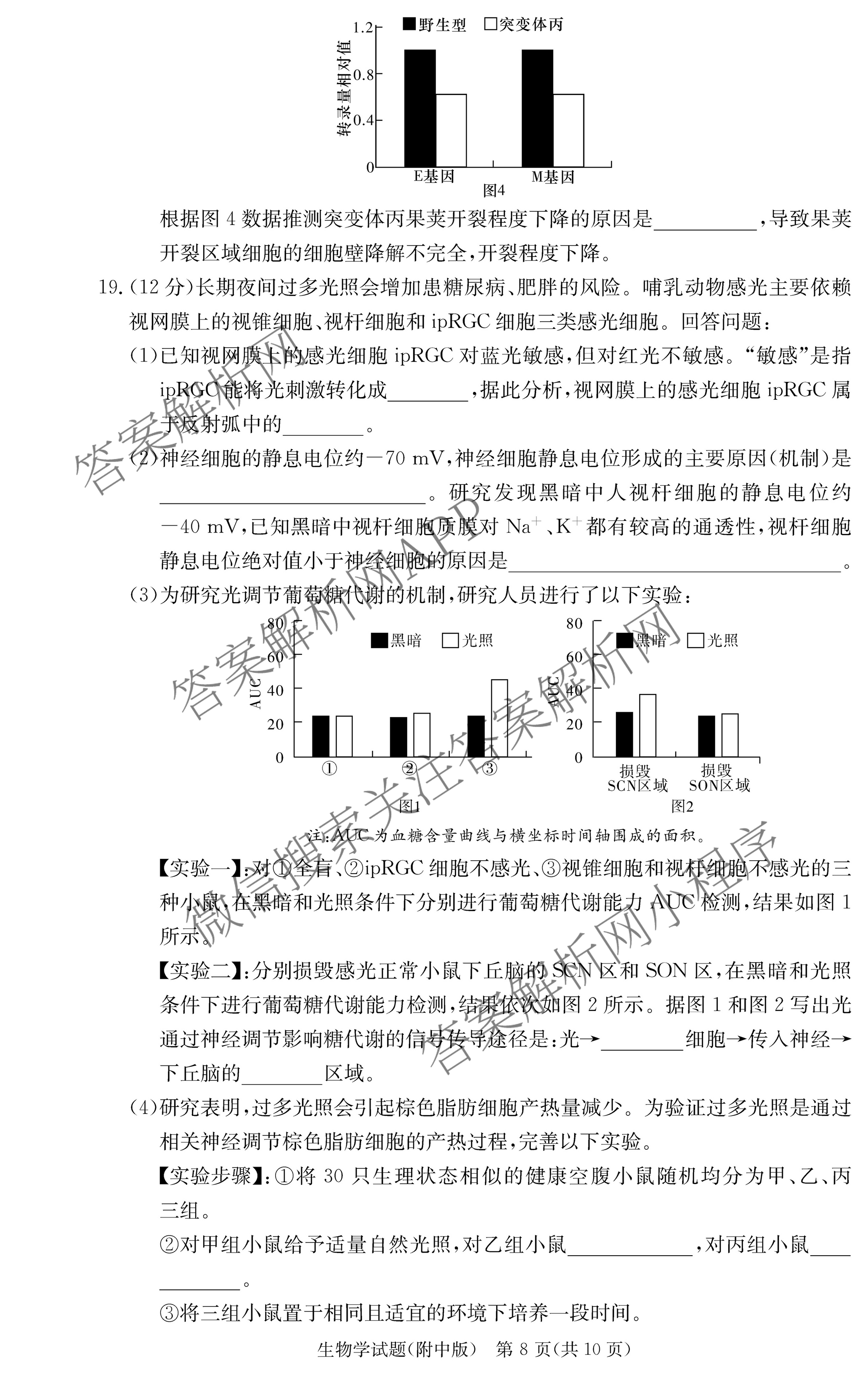 炎德英才大联考湖南师大附中2026届高三月考试卷(四)试卷及答案汇总（10科全）生物答案