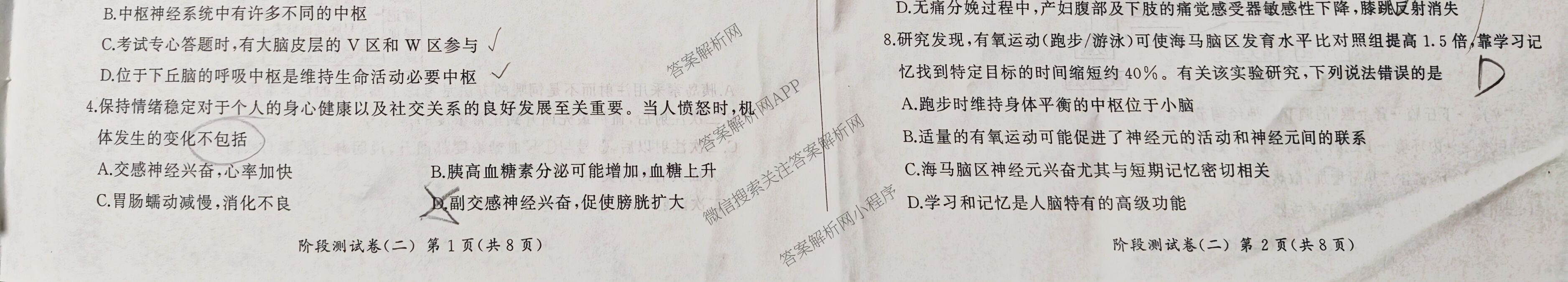 百师联盟2025-2026学年高二上学期阶段测试卷(二)2试卷及答案汇总(已更新历史(90分钟) 地理(75分钟) 物理(75分钟多选)等26份)生物试题