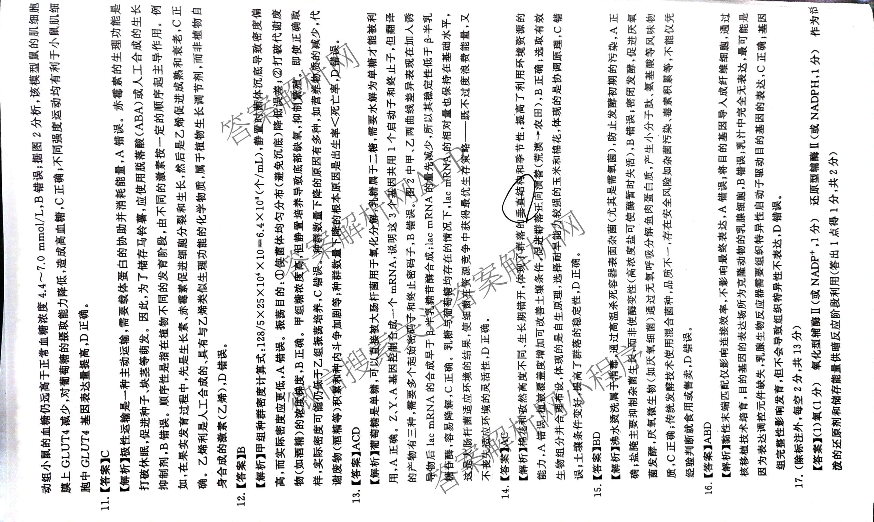 冲刺新高考2026届高考仿真模拟卷(T8)(三)3（20科全）生物答案