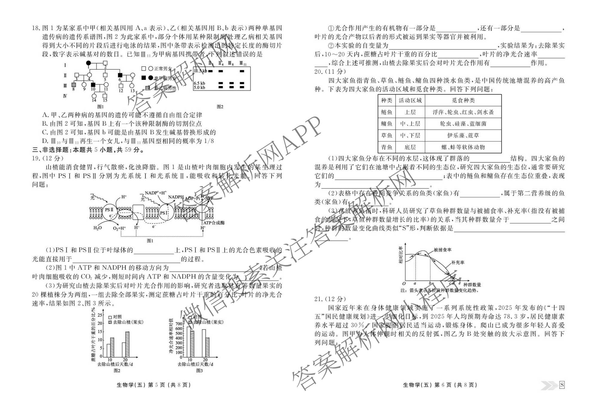 衡水金卷先享题2026年学科素养评价练(五)5(已更新地理(HJ)【河北专版】、地理(HN)【湖南专版】、生物(CY)【四川重庆专版】等90份)生物试题