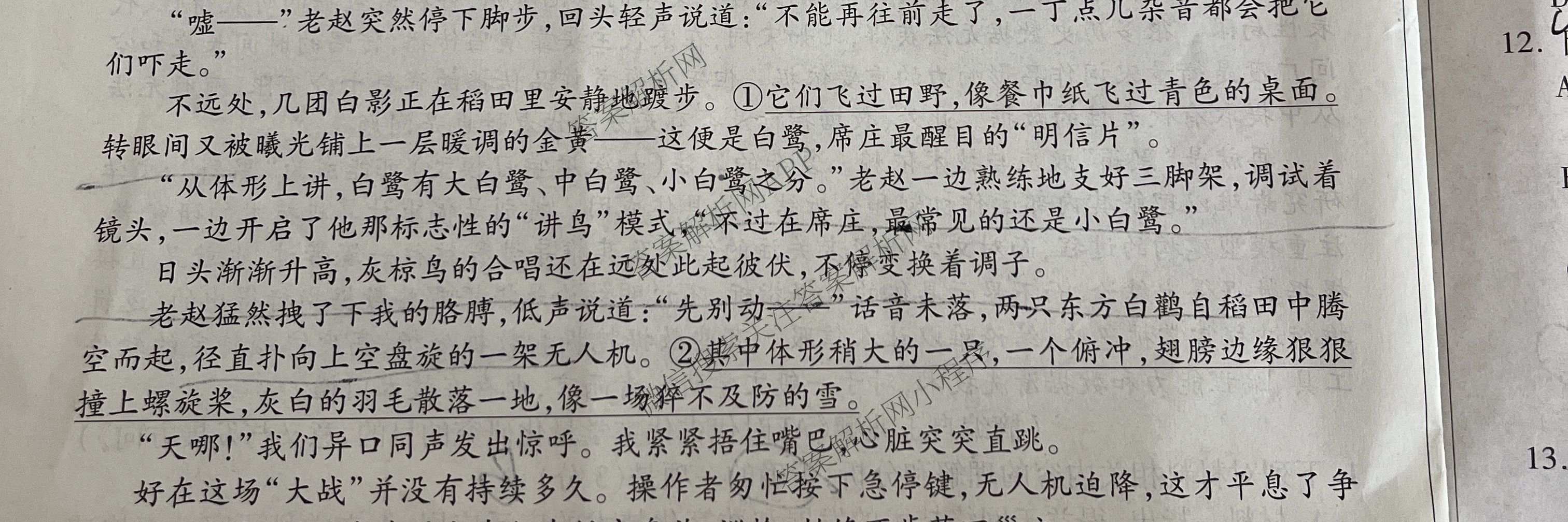 天一大联考安徽省2027届高三9月(标题：高三9月科目): 含生物、物理(1)、政治试卷解析语文试题