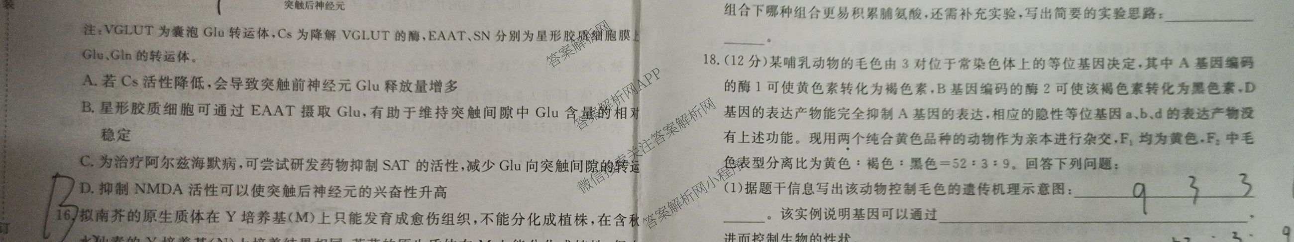 青桐鸣2025届普通高等学校招生全国统一考试高考冲刺联考卷(一)1各科答案及试卷（含地理、数学、生物等）生物试题