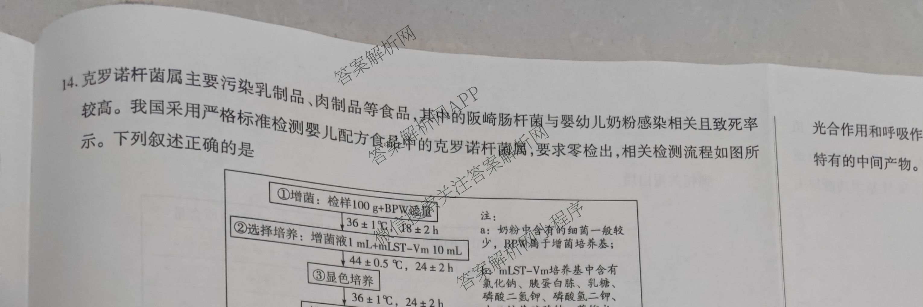 天一大联考2026届高三冲刺(六)6（含物理(SHX) 物理(ANH) 化学(ANH)等27份）生物试题